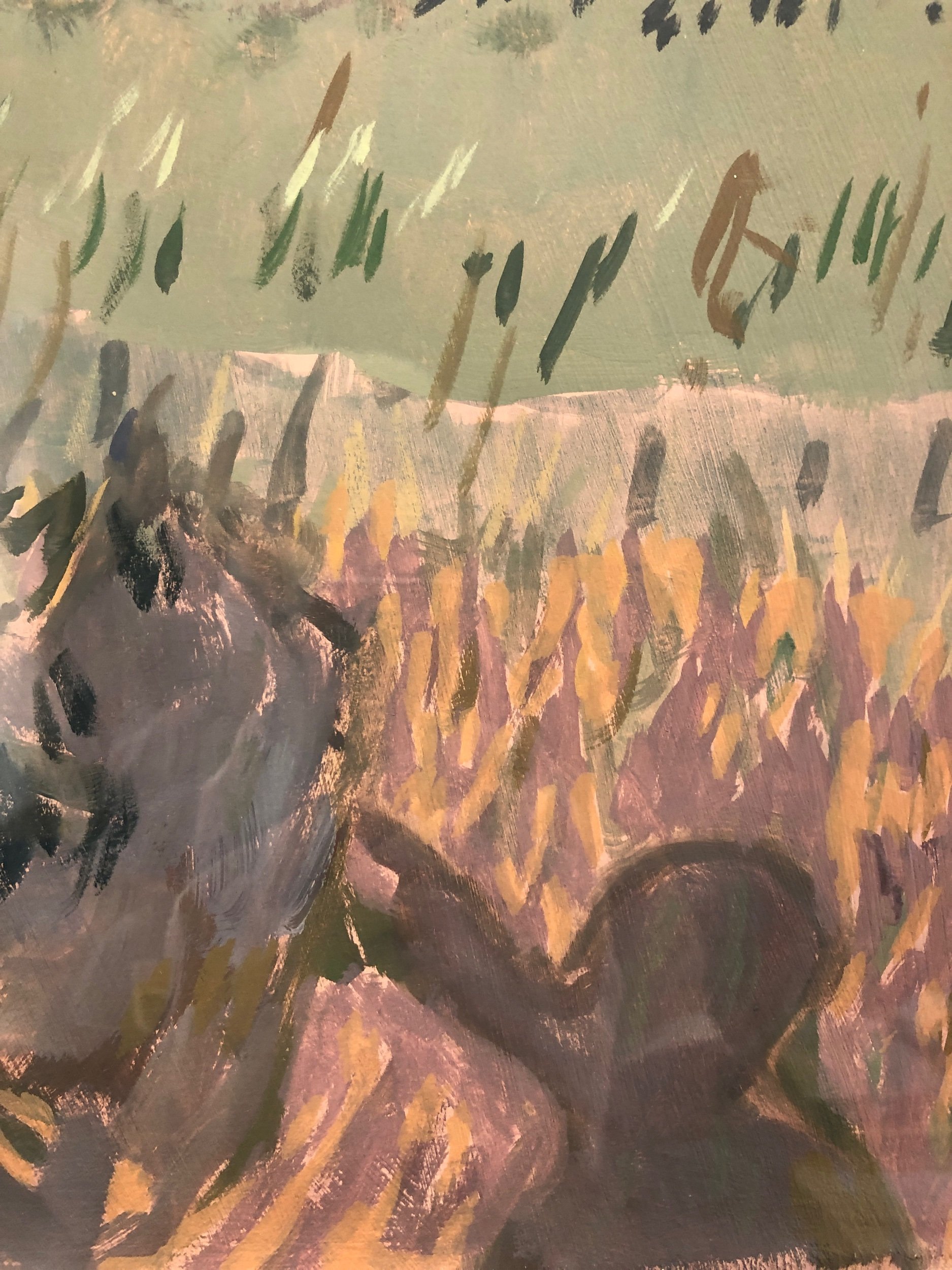 EBB3ABF5-5675-42AA-8829-A24AF834100B.jpeg