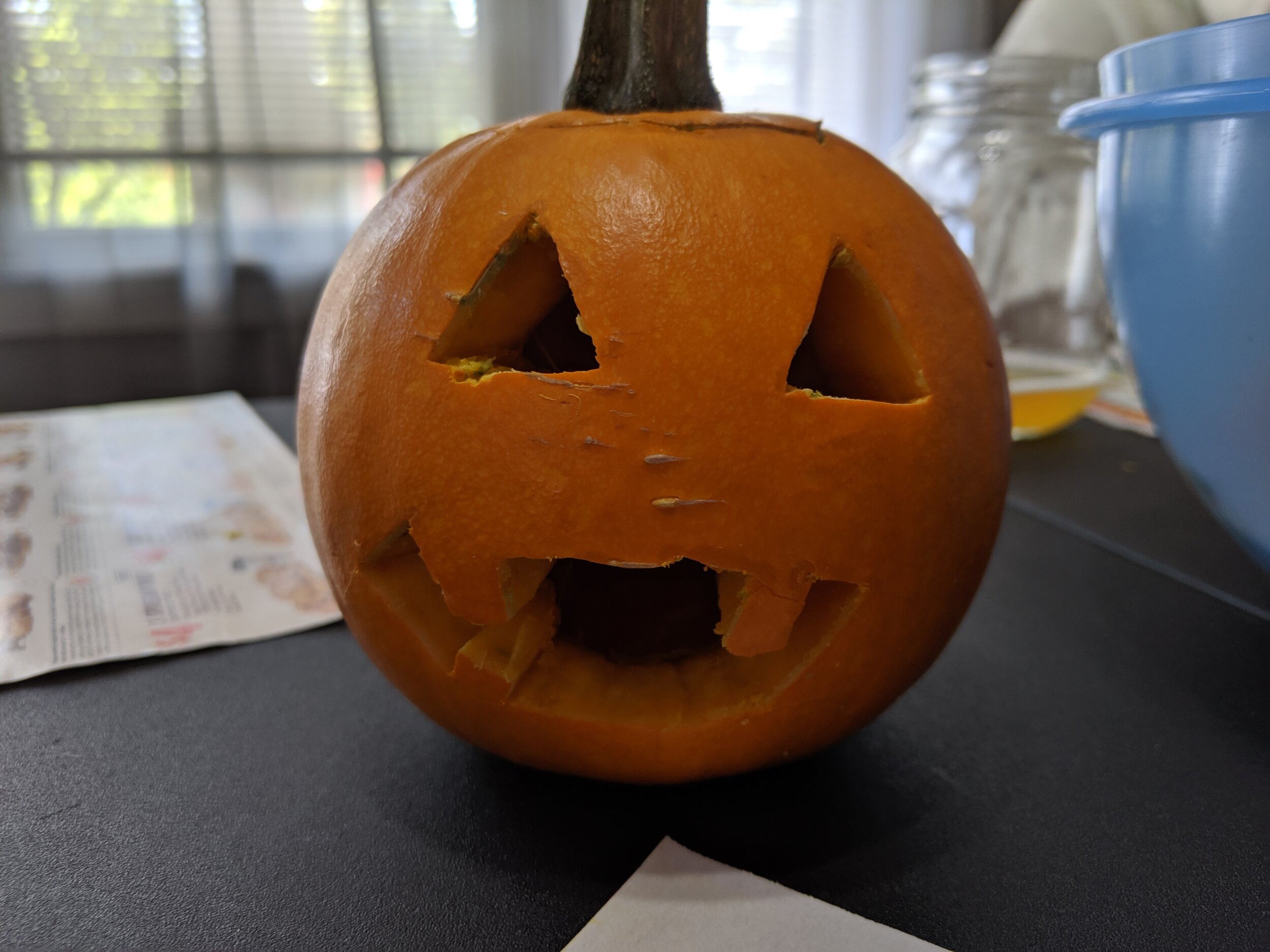 IMG_20191001_122142.jpg