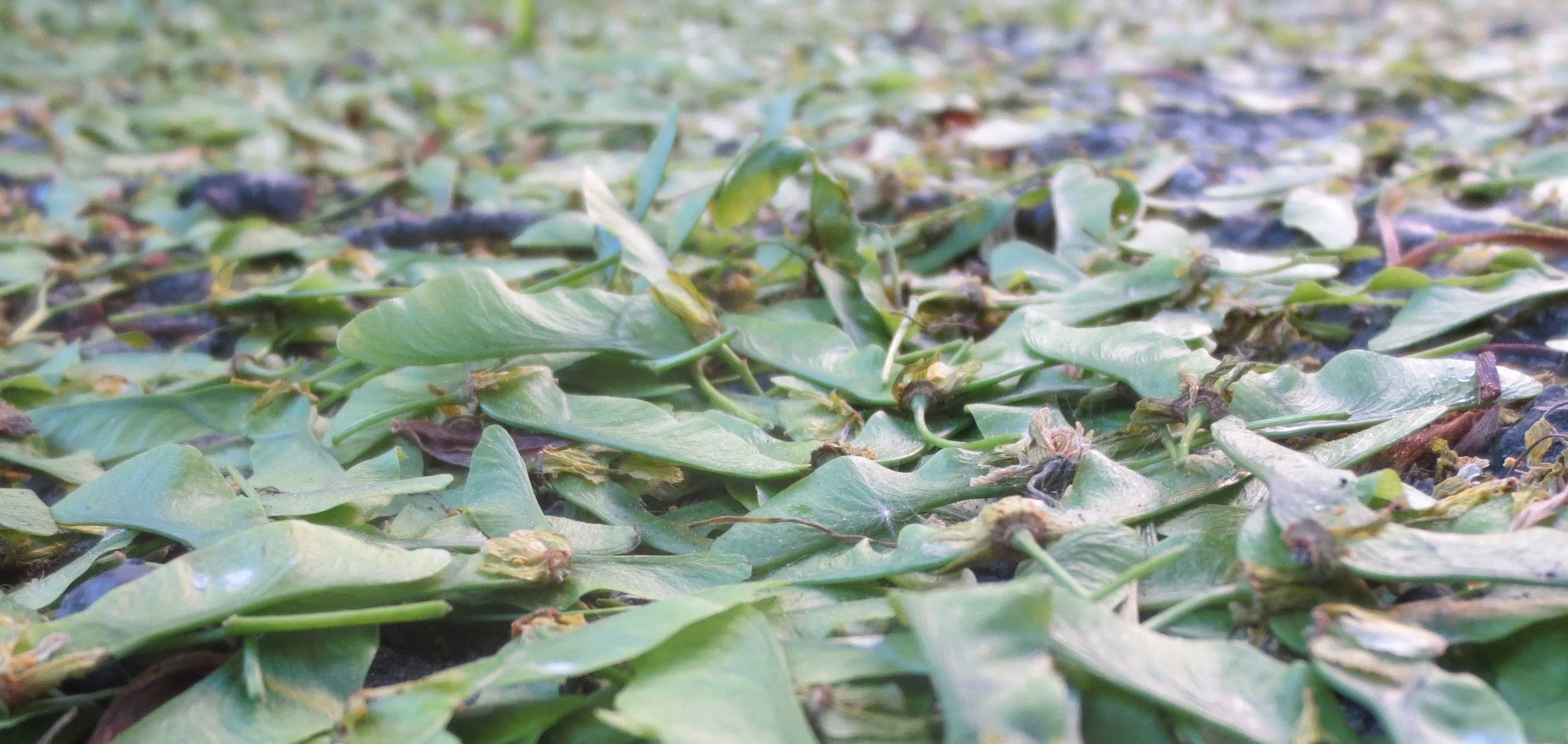 Sei, wer du schon immer warst