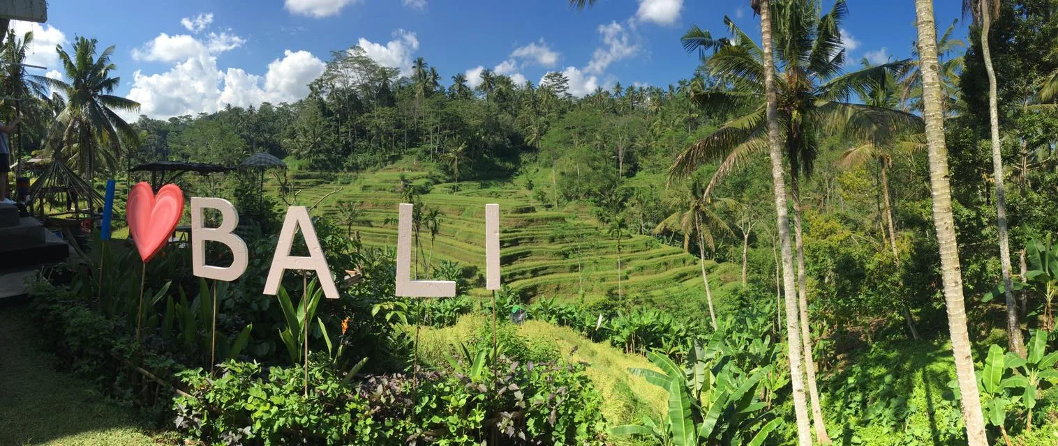 ilovebali.jpg