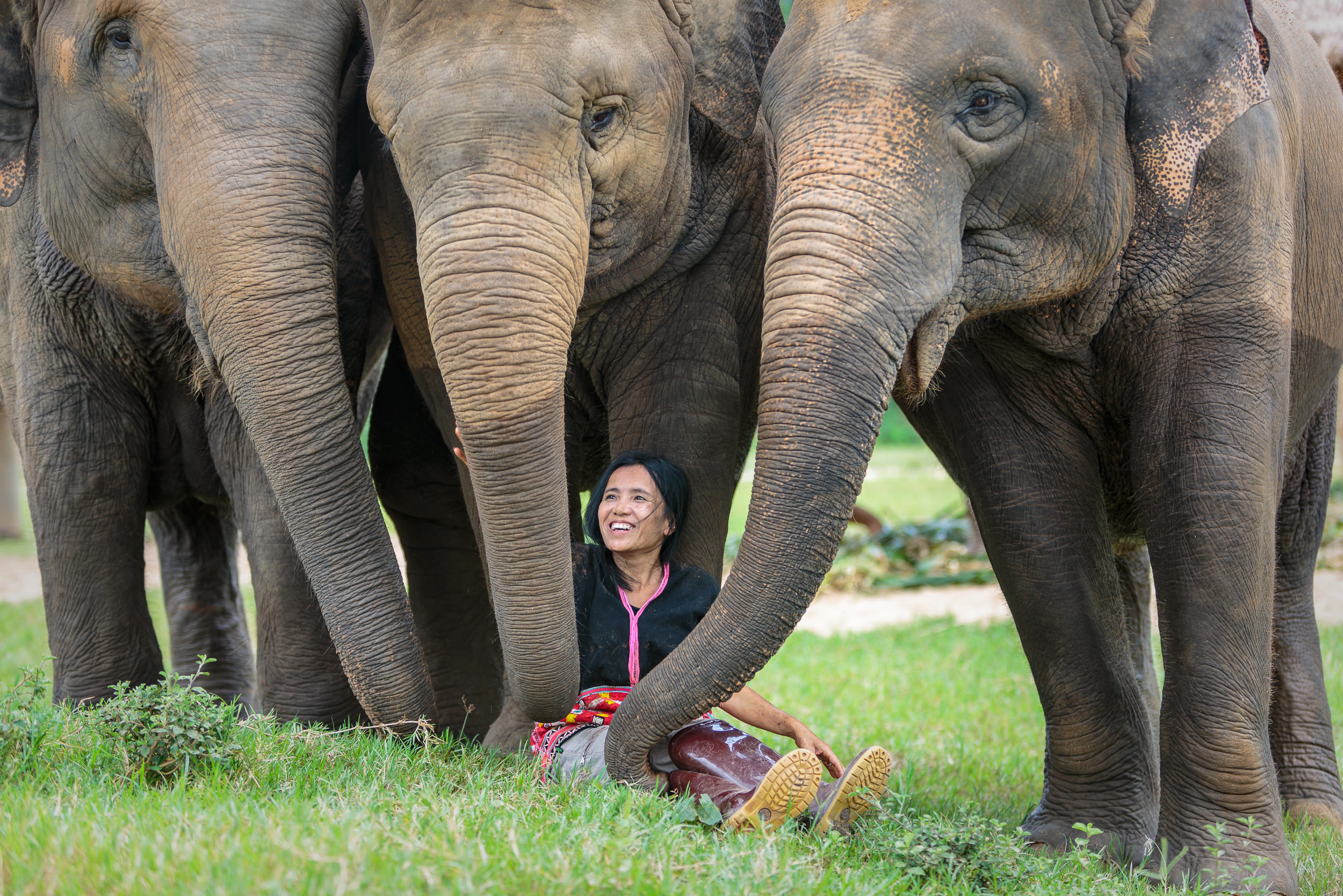 Elephant-Conservation-08-Thailand-Gavin-Gough.jpg