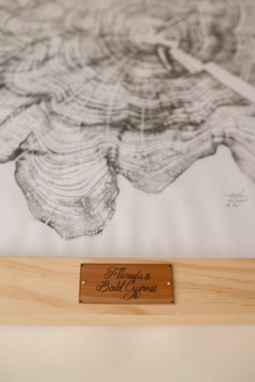 Tree Print — Cascade Pacific Woodworks