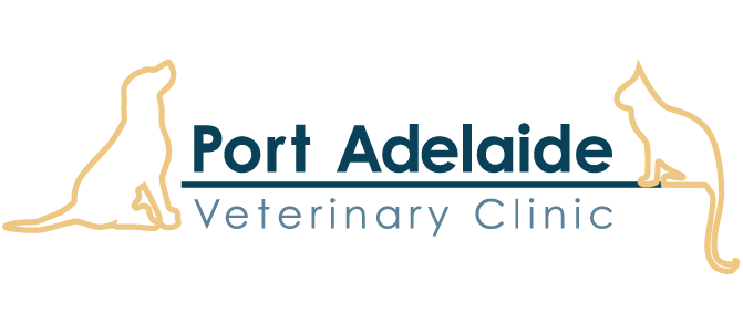 Port Adelaide Veterinary Clinic