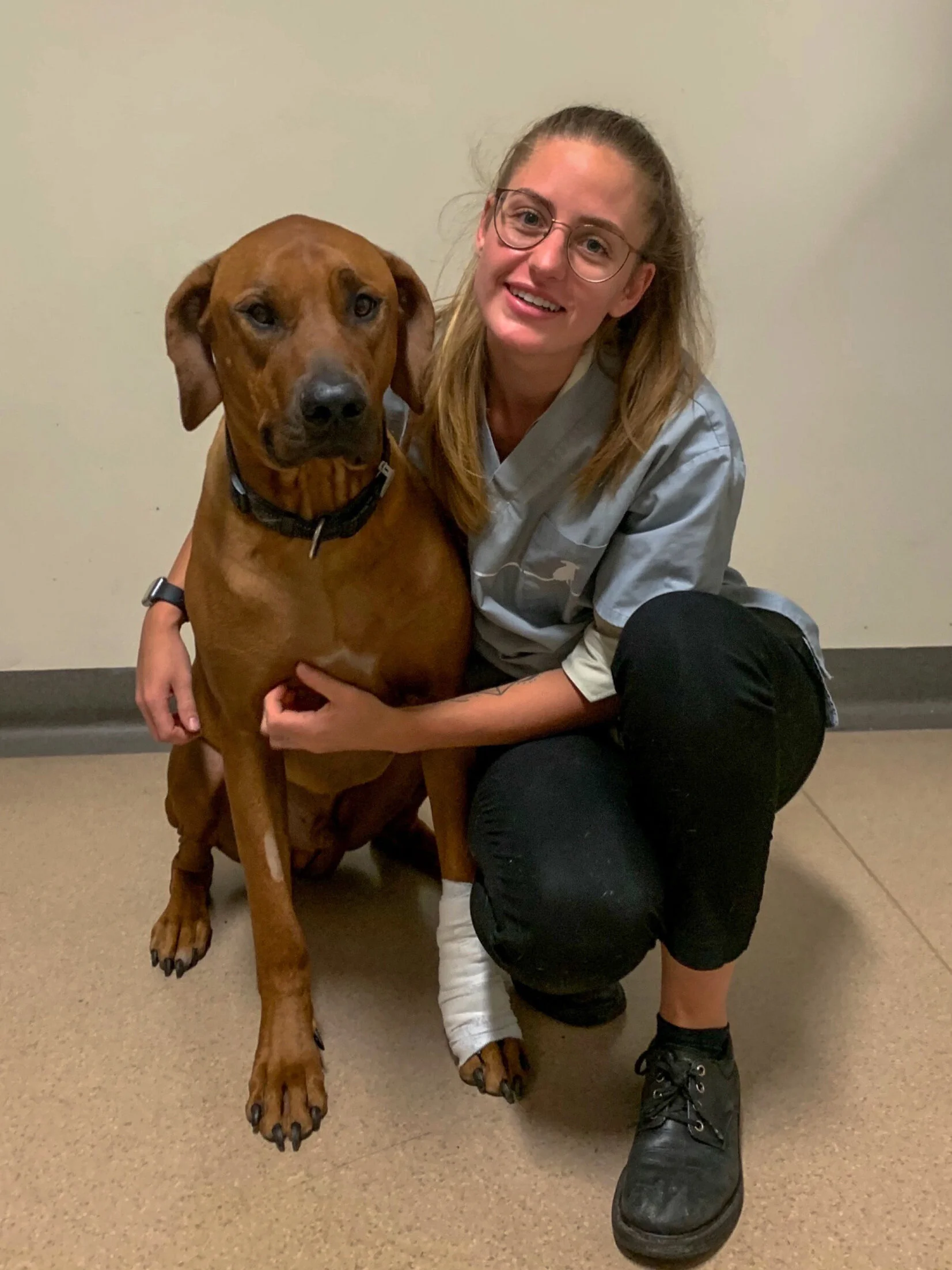 If your dog told you he was in pain would you want to help?