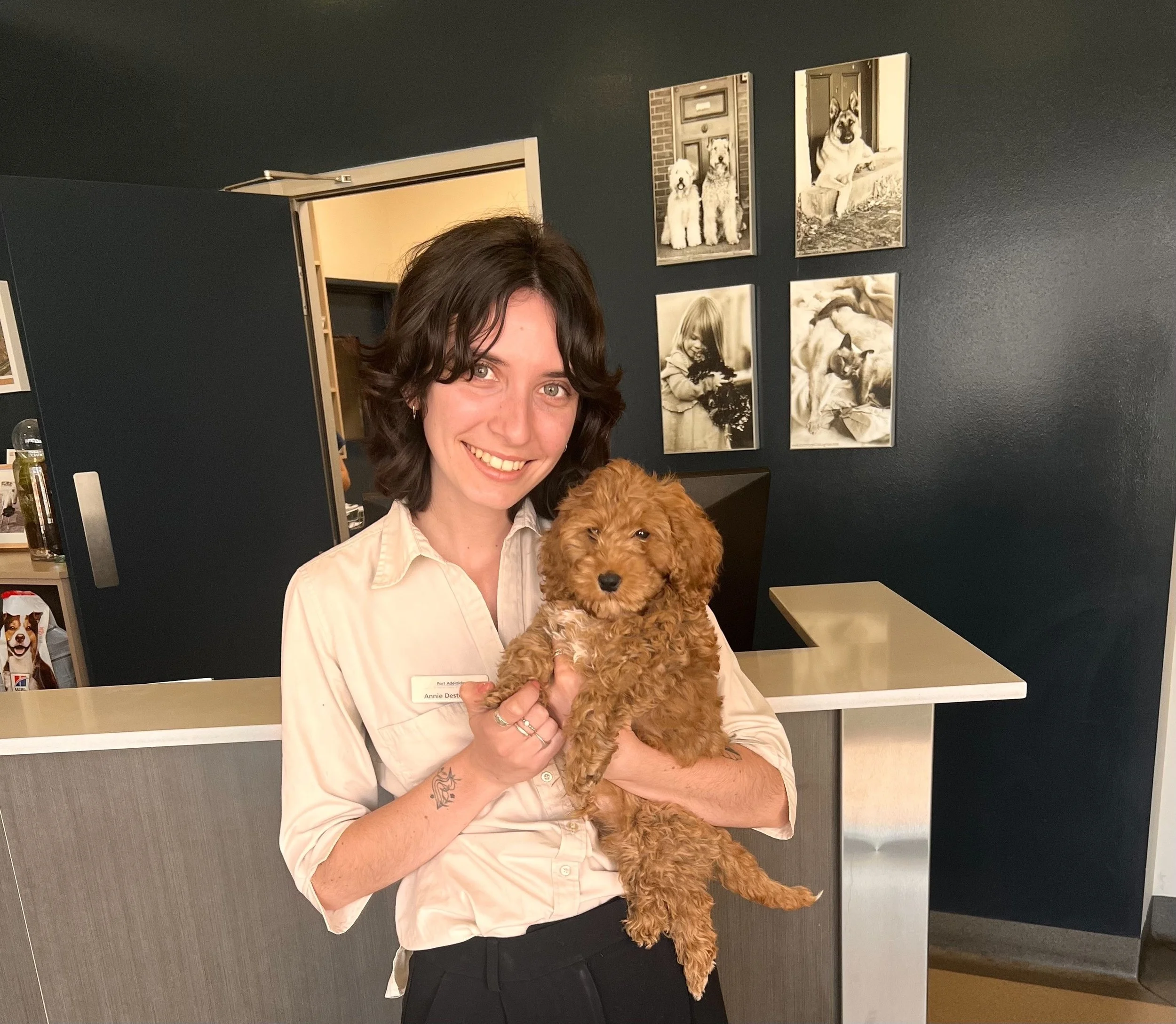 Our Team — Port Adelaide Veterinary Clinic