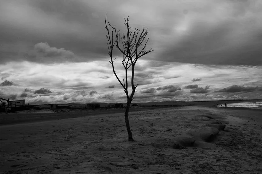  Cabo Polonio, Uruguay 