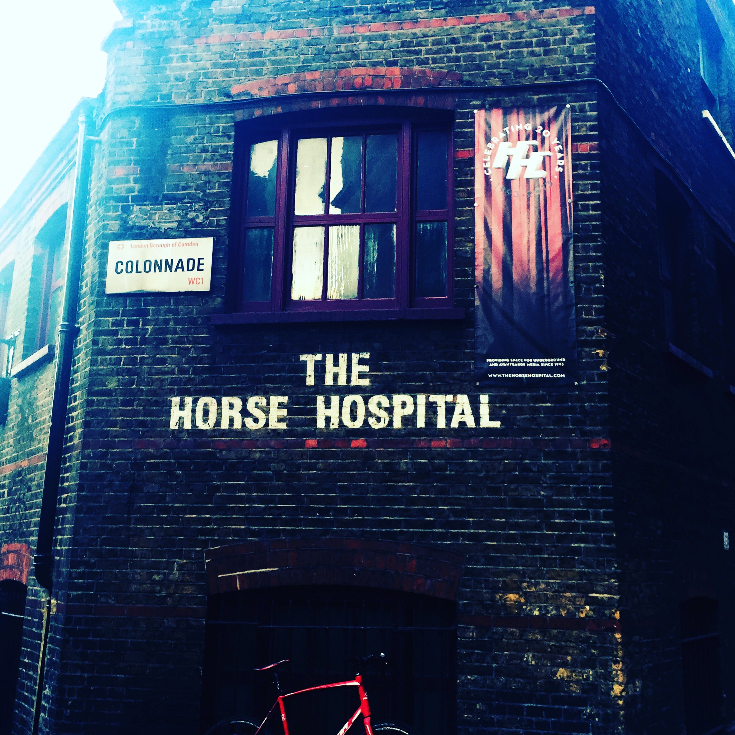 The Horse.