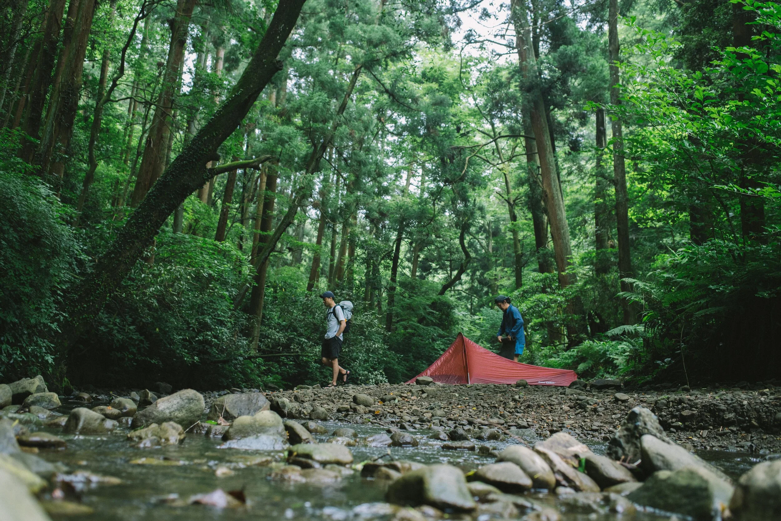 DSC09759.JPG