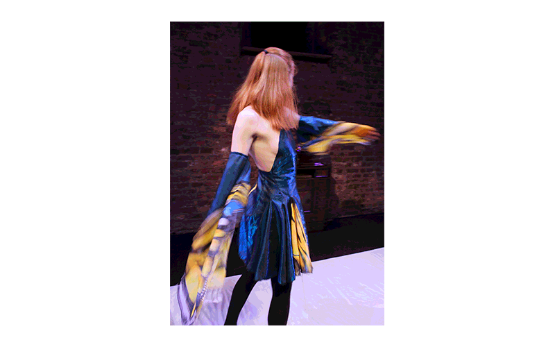 bg4.gif
