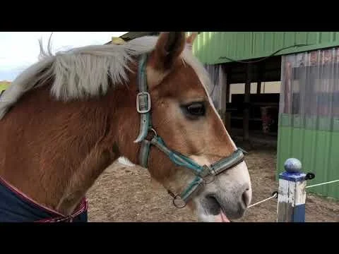 Seminarhof Osterholm Imagefilm (Copy) (Kopie) (Kopie) (Kopie)