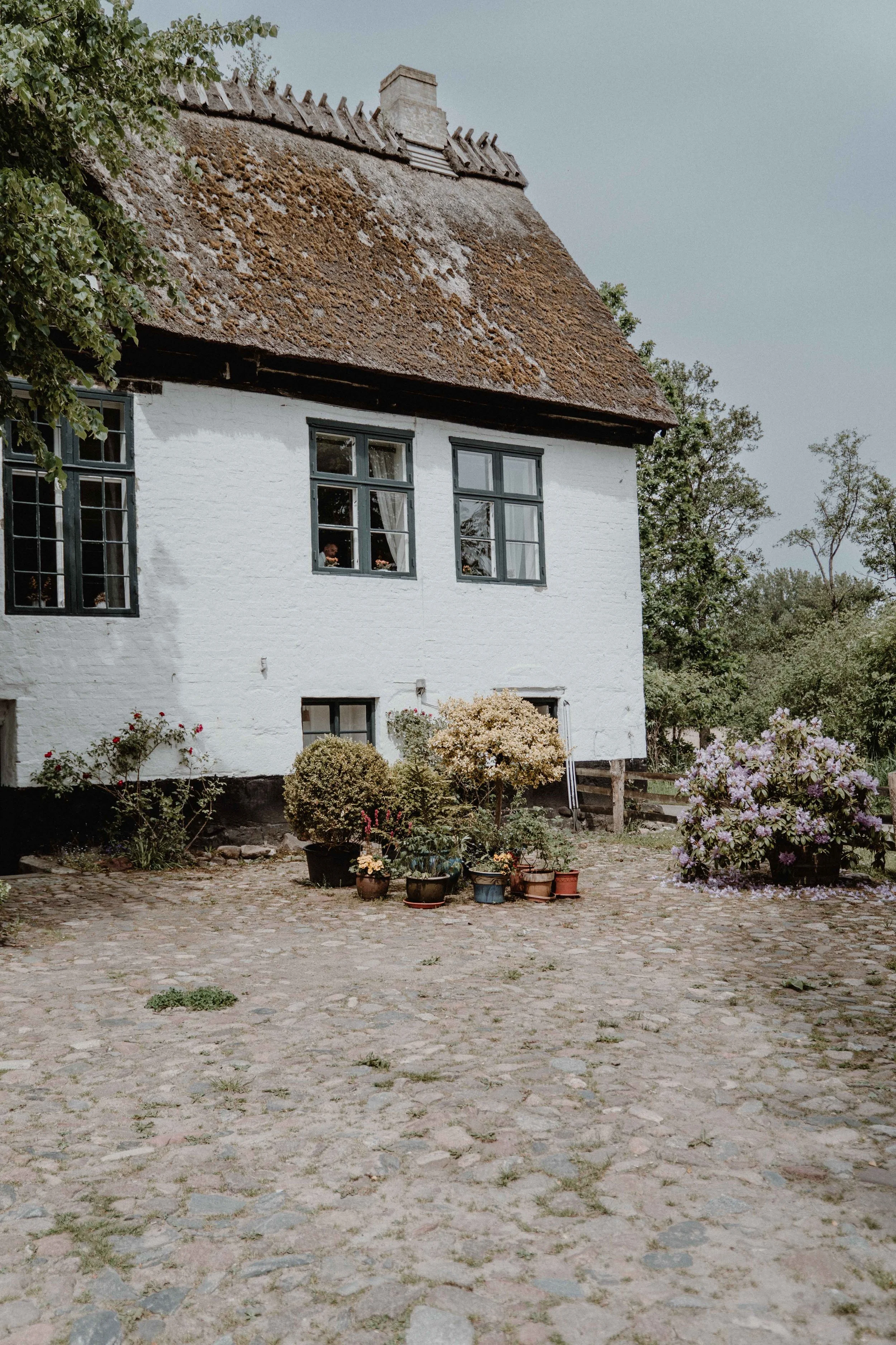 Hochzeit Familie Sommer_lowres.jpg