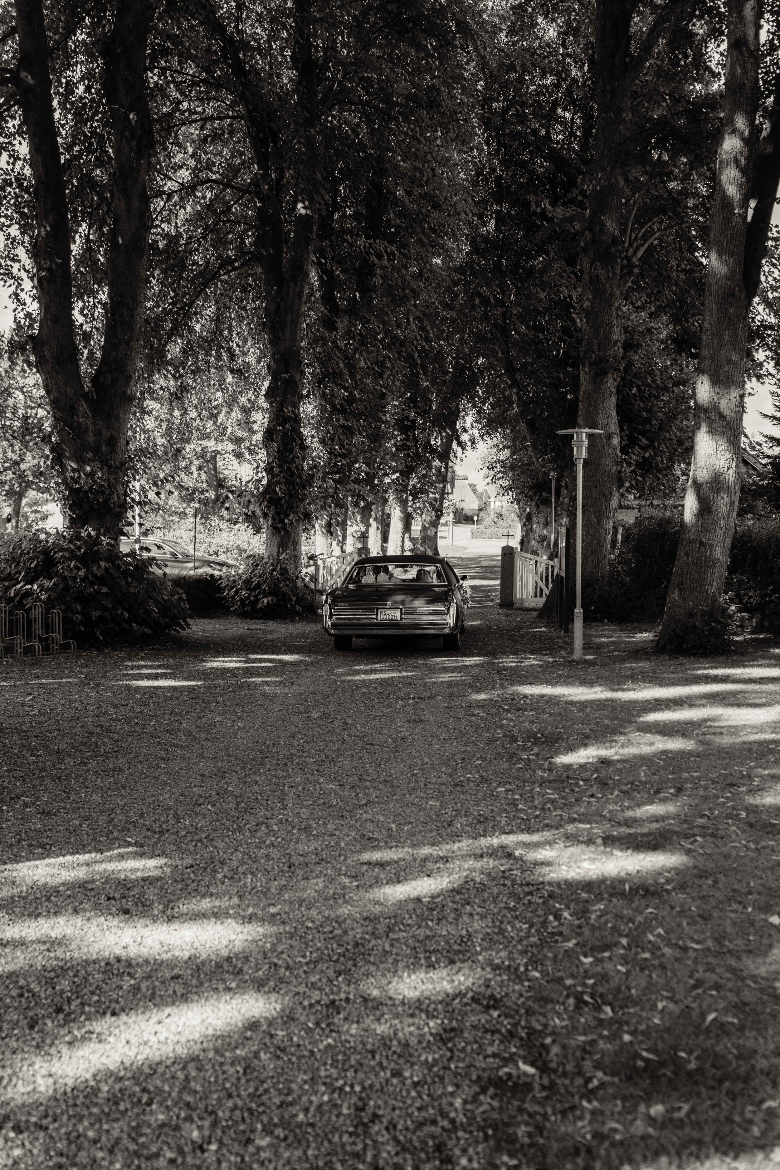 Sommerhochzeit_2026-204.jpg