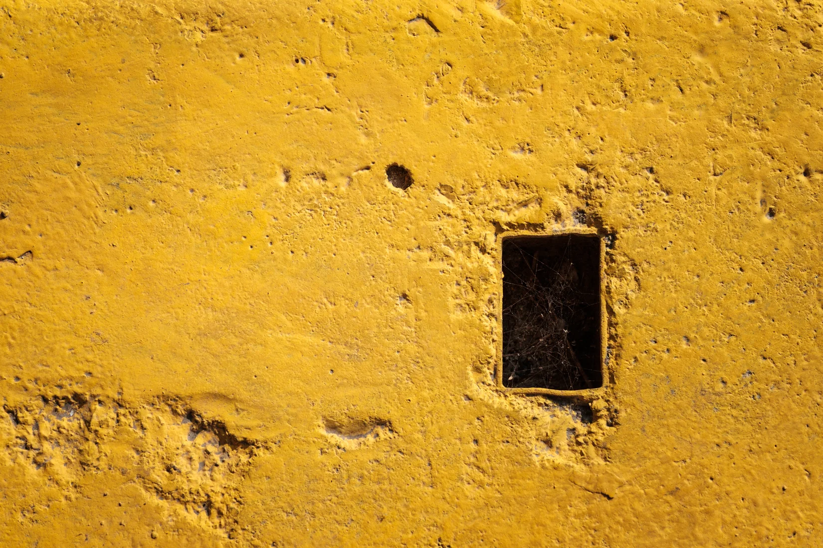 DSCF4577.jpg