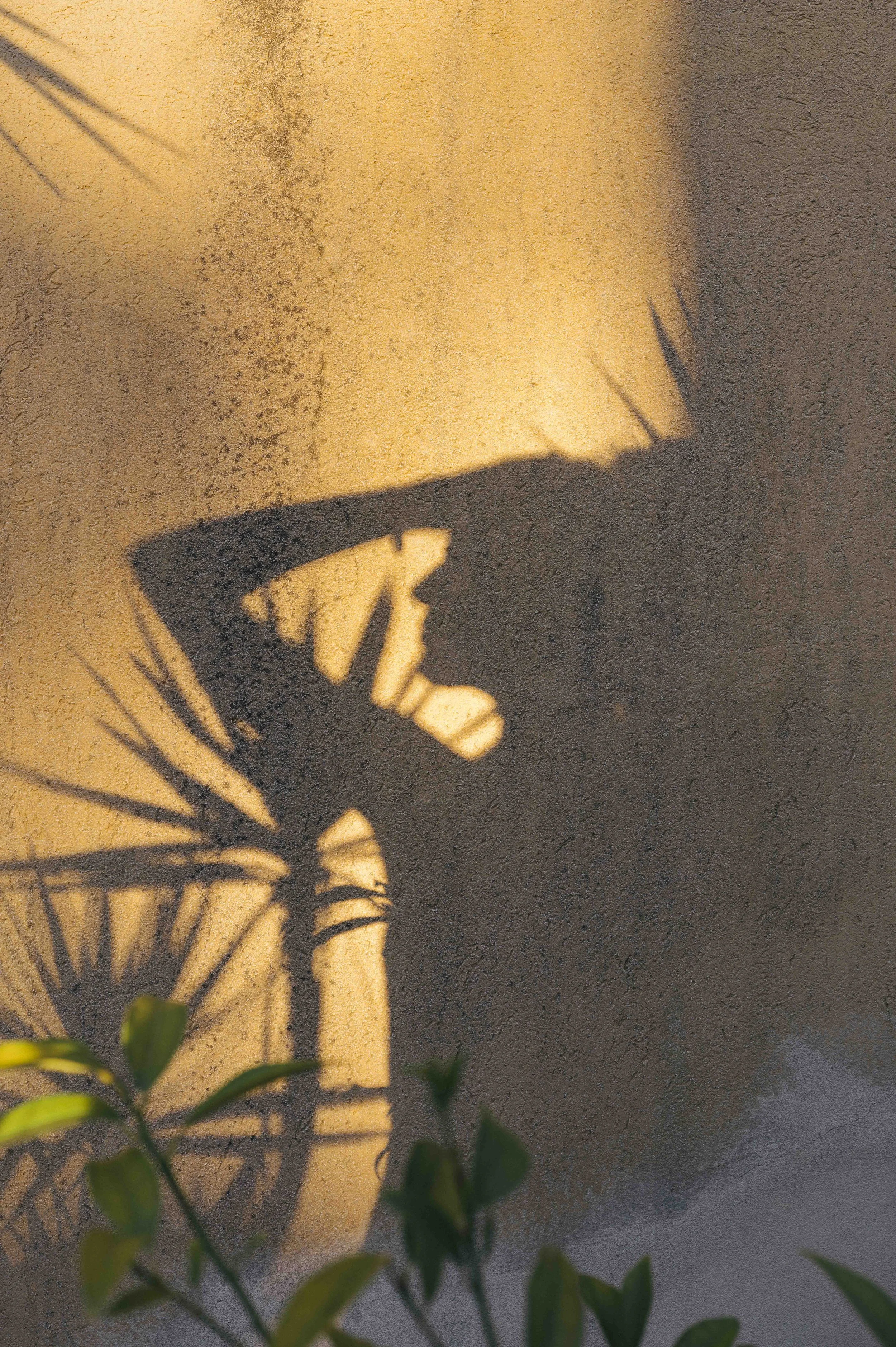 L1100010.jpg