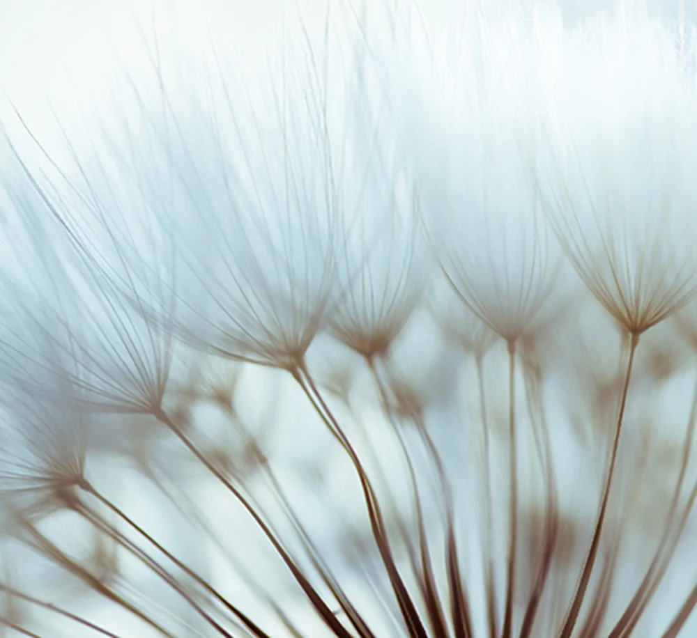 Restorative-494342932.jpg