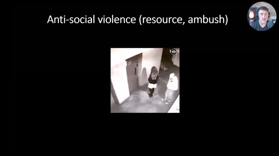 Course screenshot, types of violence