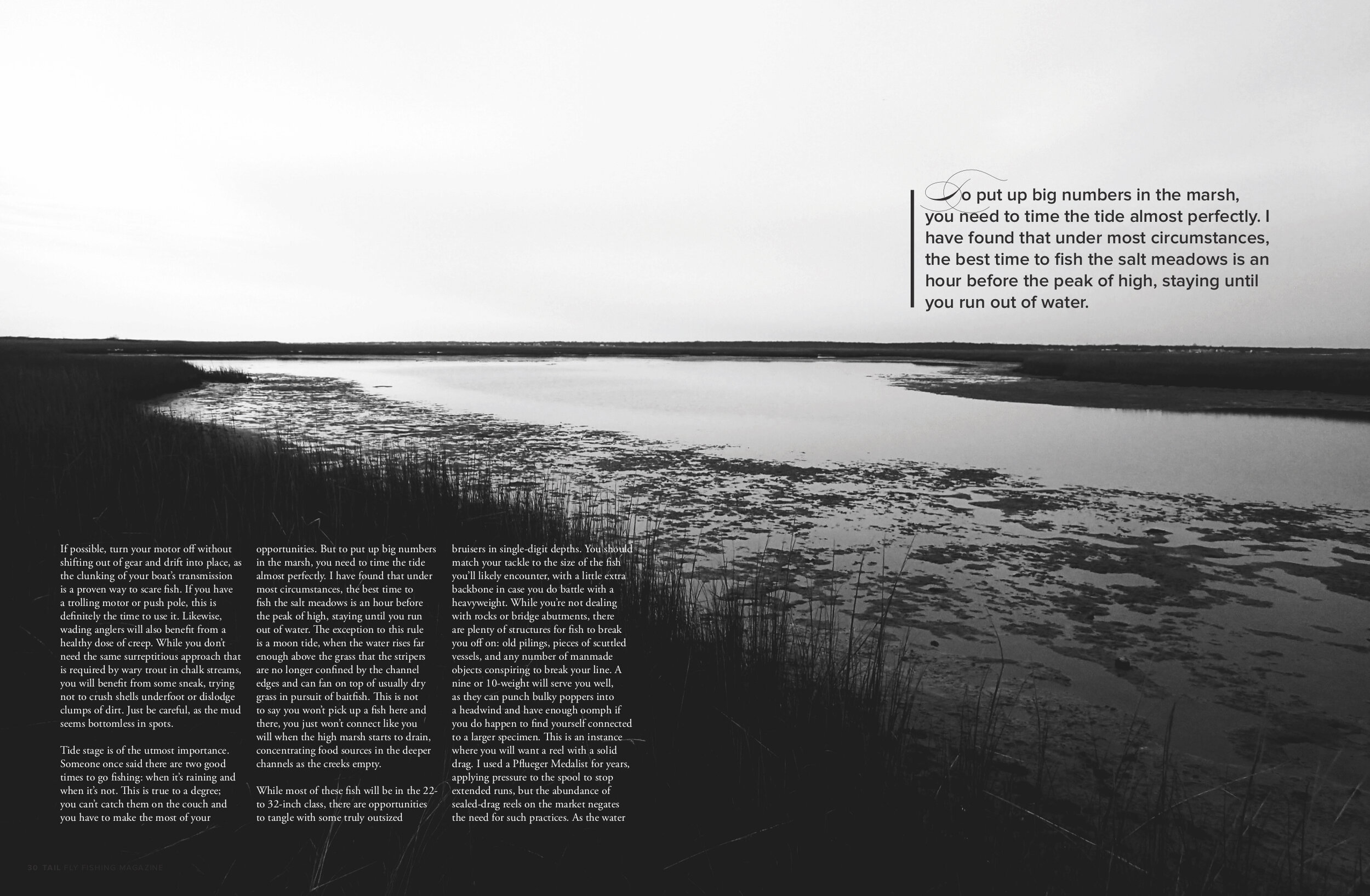 Tail Issue 34 Salt Marsh Secrets 3.jpg