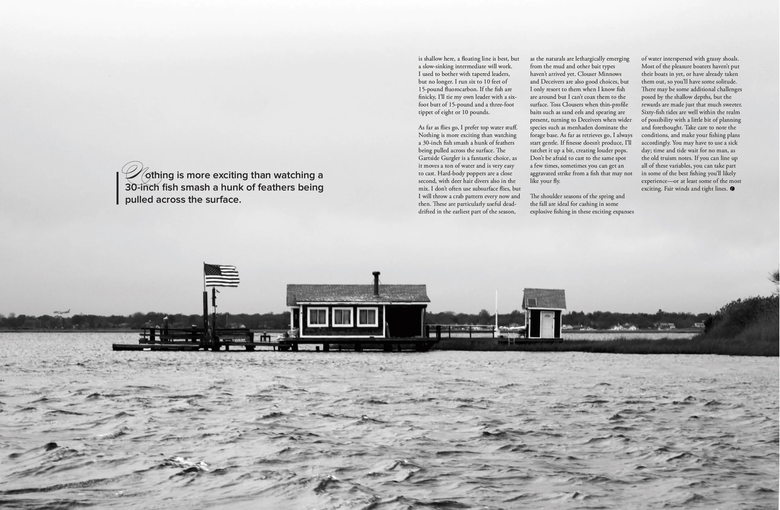Tail Issue 34 Salt Marsh Secrets 4.jpg