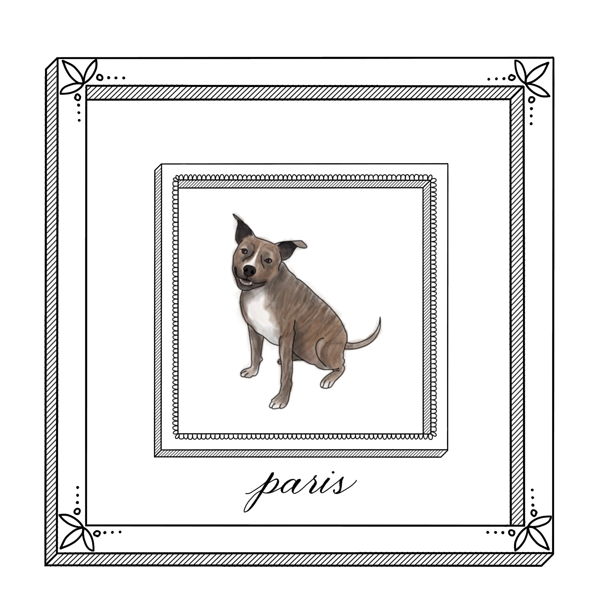 Photo Feb 19, 5 45 53 PM.jpg