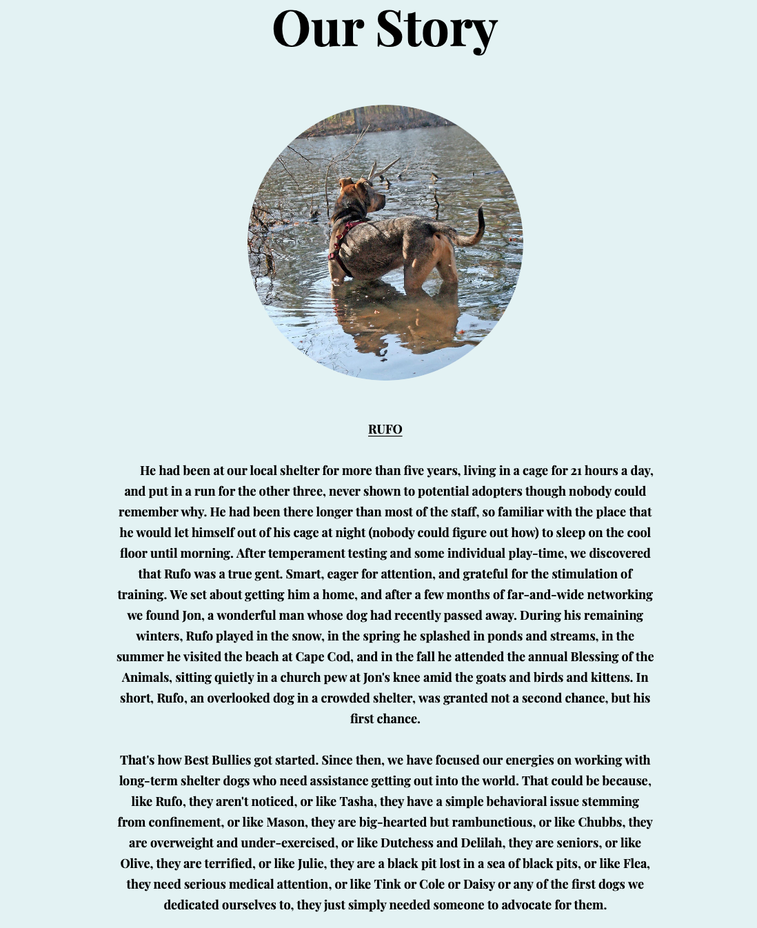 Screen Shot 2022-01-18 at 9.29.37 PM.png