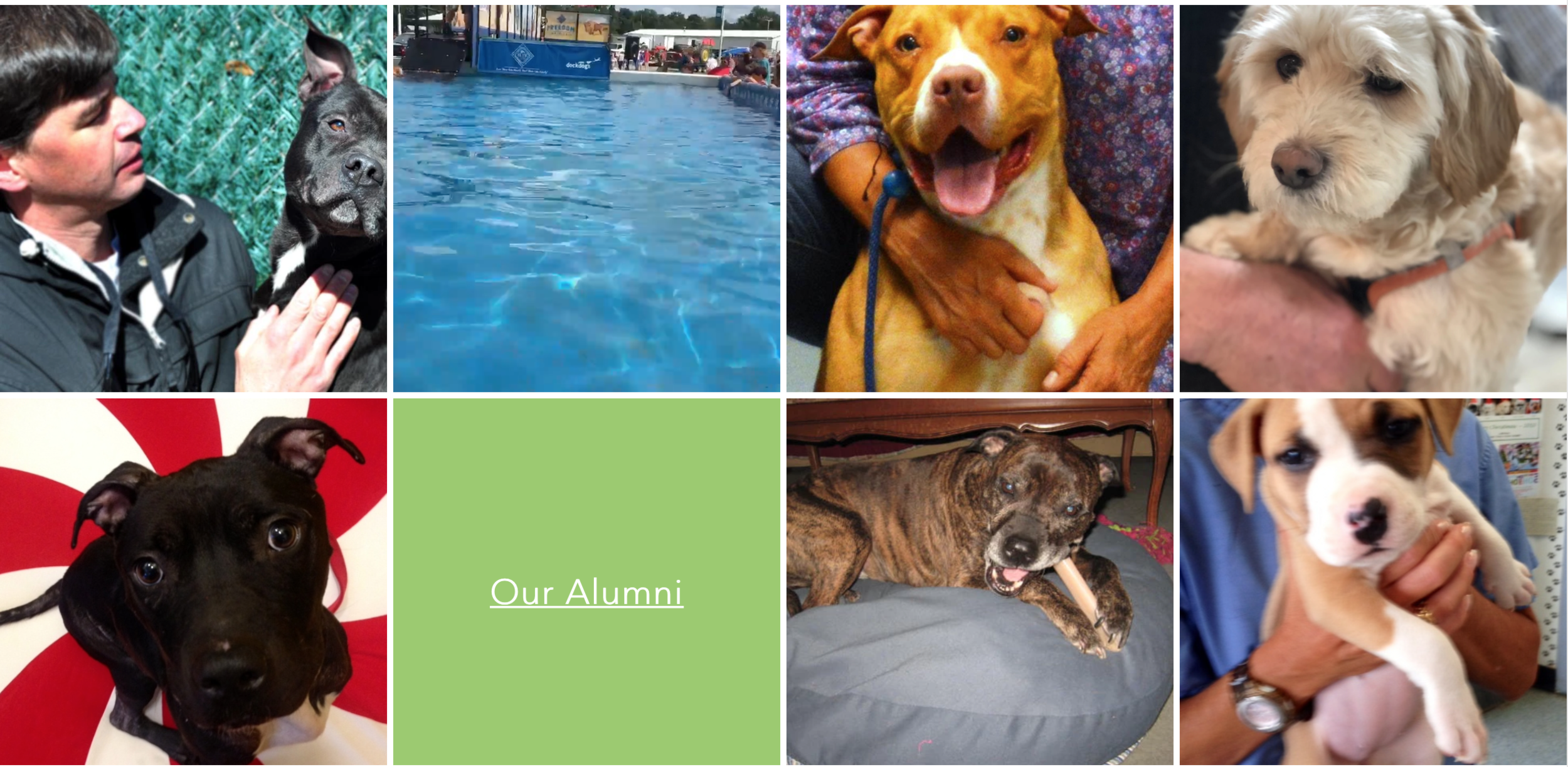 Screen Shot 2022-01-18 at 9.41.42 PM.png