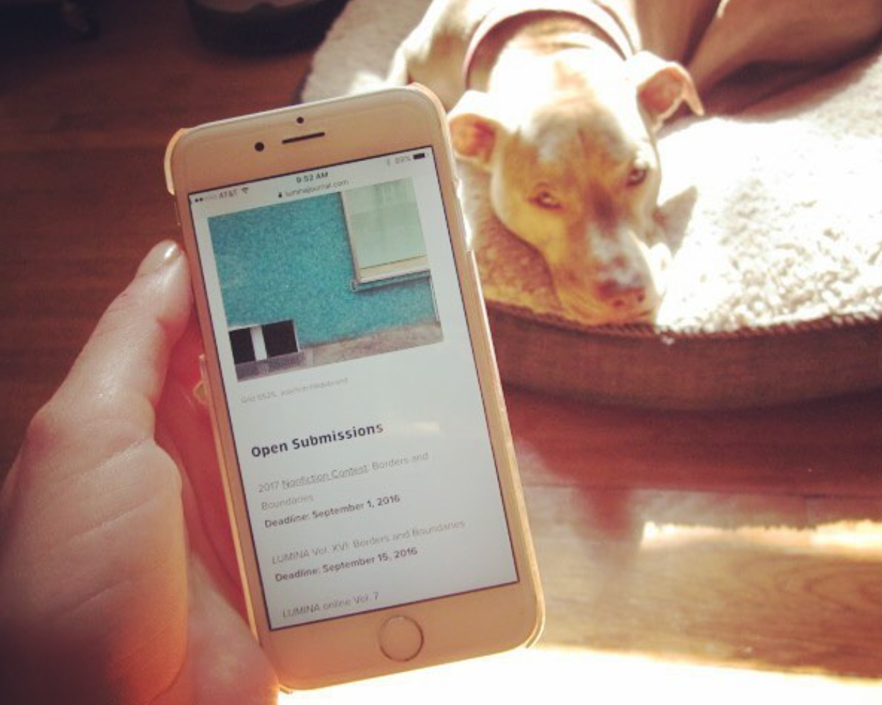 Screen Shot 2022-01-18 at 10.56.47 PM.png