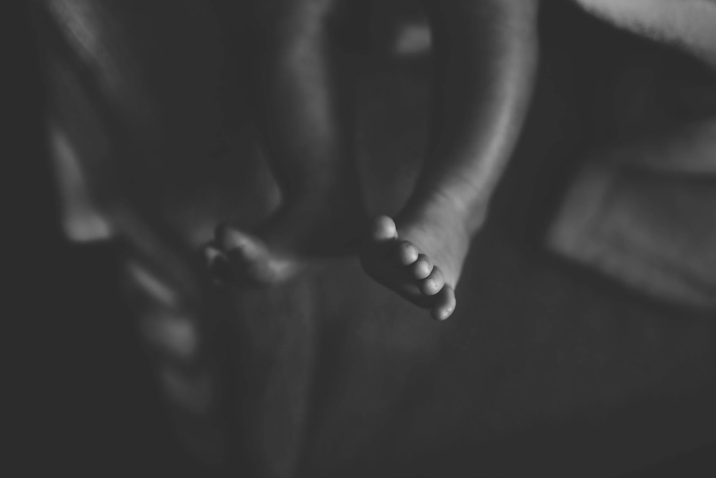 DLP-77.1.jpg