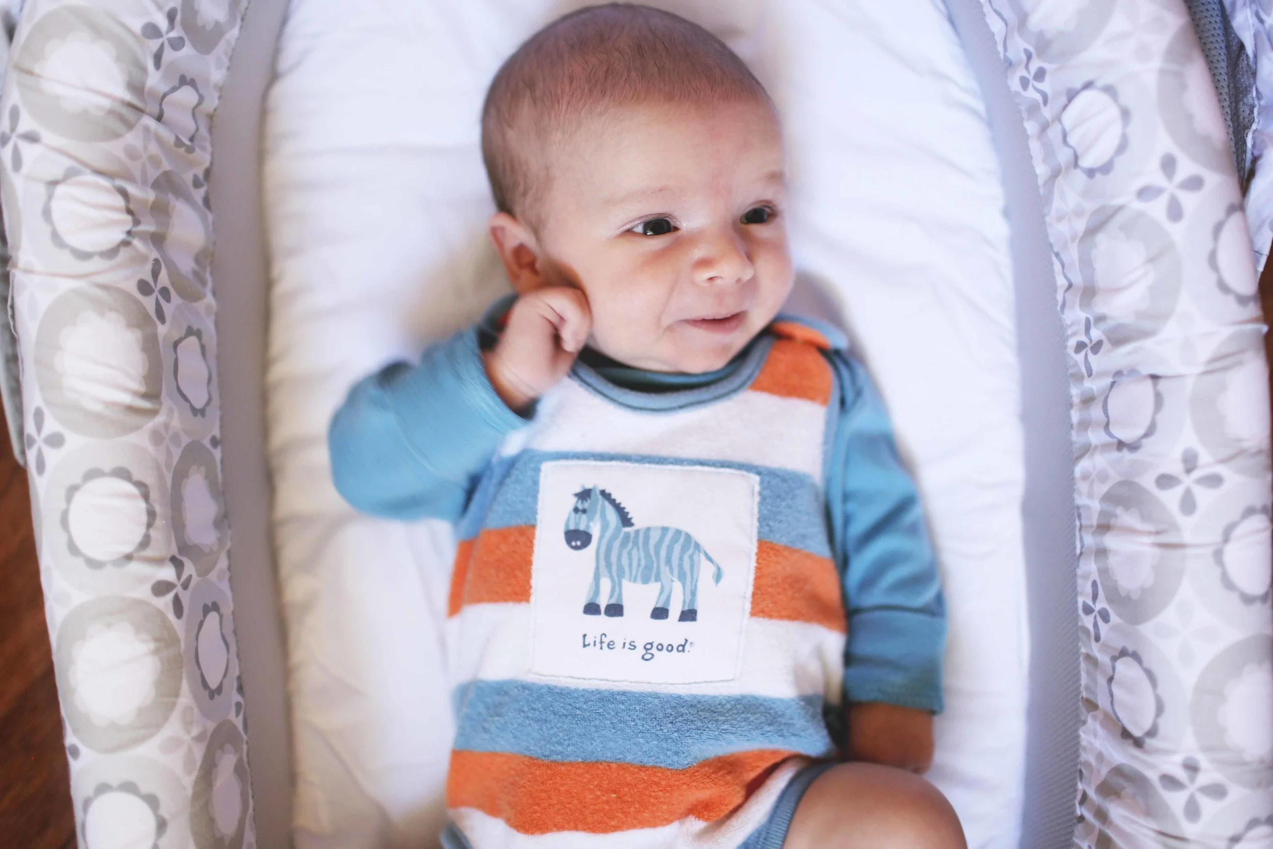 EVERETT'S PORTRAITS : OCTOBER - DECEMBER