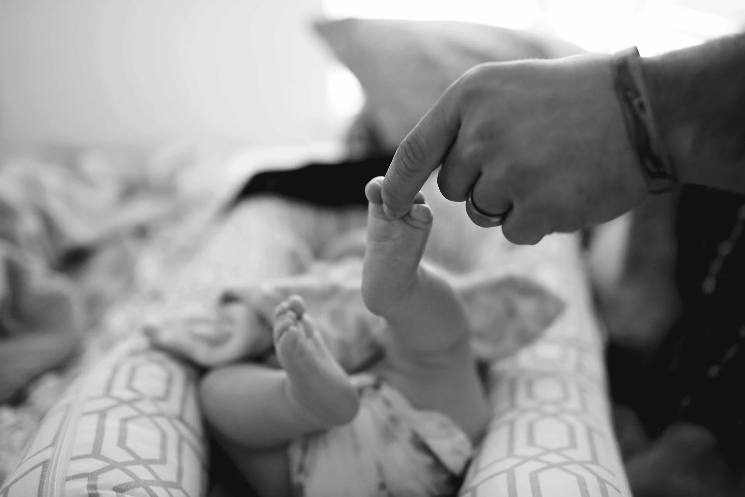 IMG_7187 copy.jpg