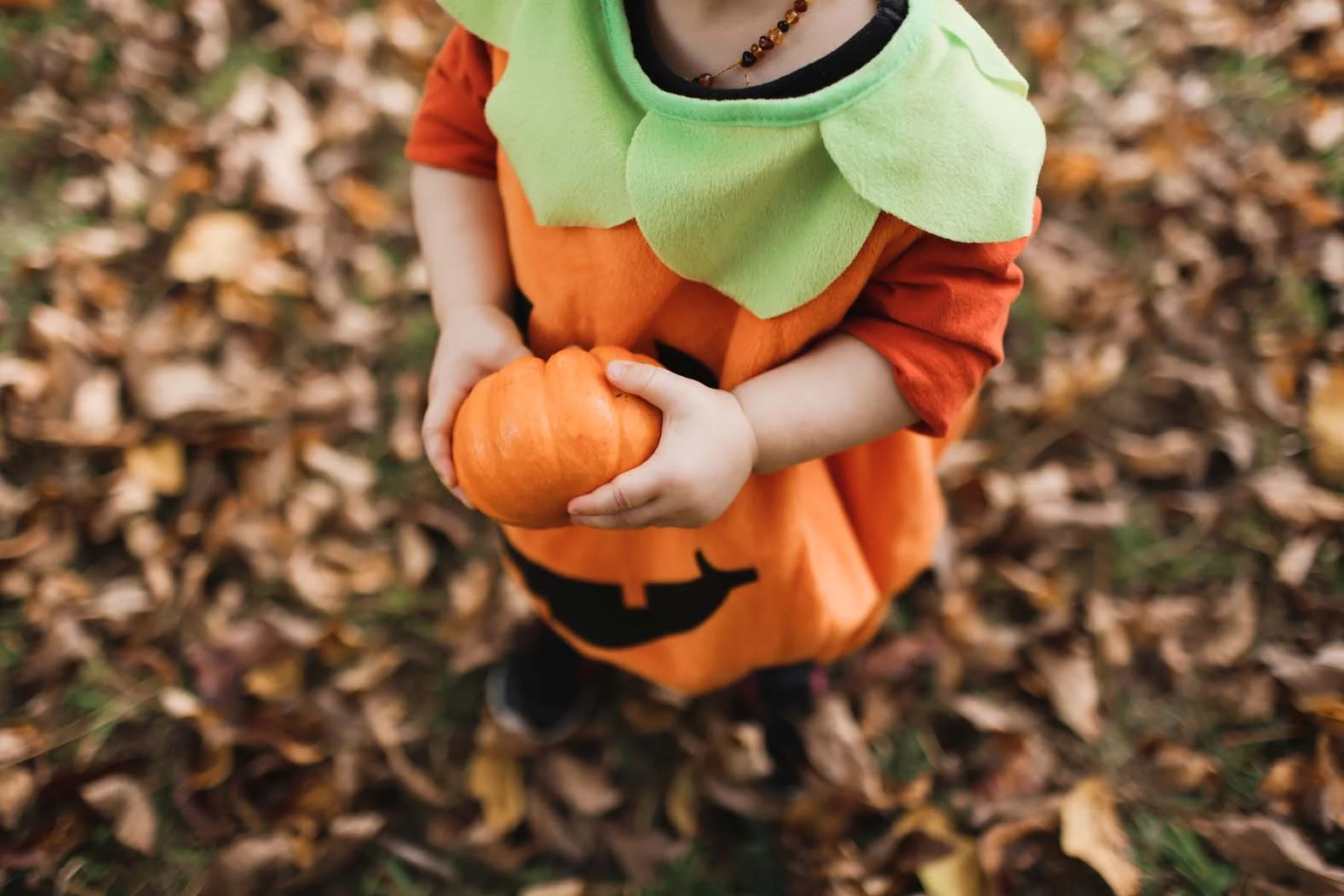 EVERETT'S OCTOBER / UPDATES