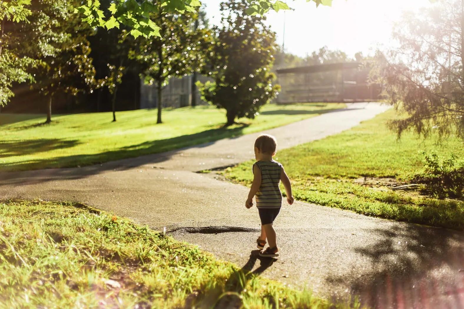 EVERETT'S SUMMER ADVENTURES