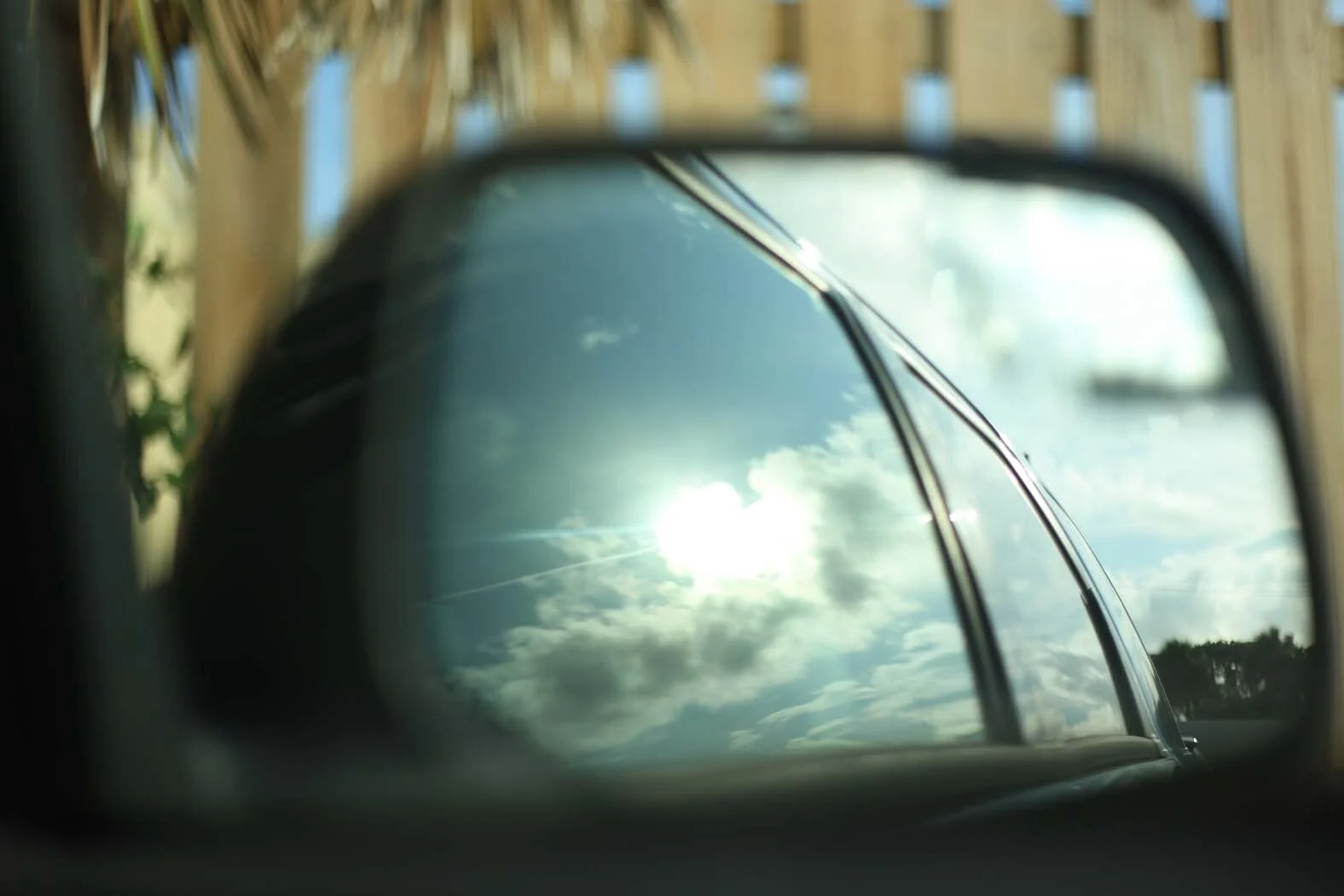 EDISTO-8.jpg