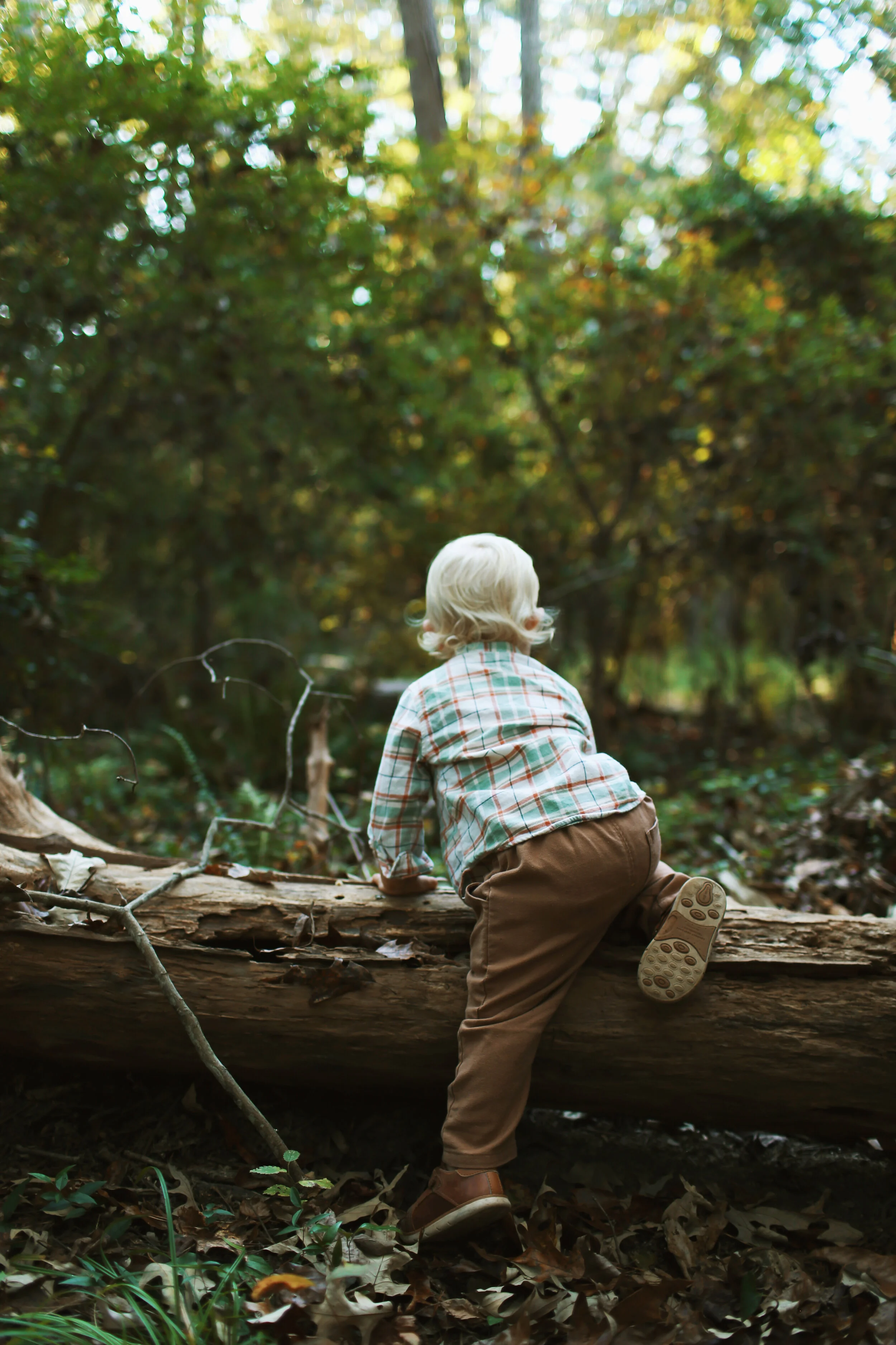 SALTER FAMILY-49.JPG