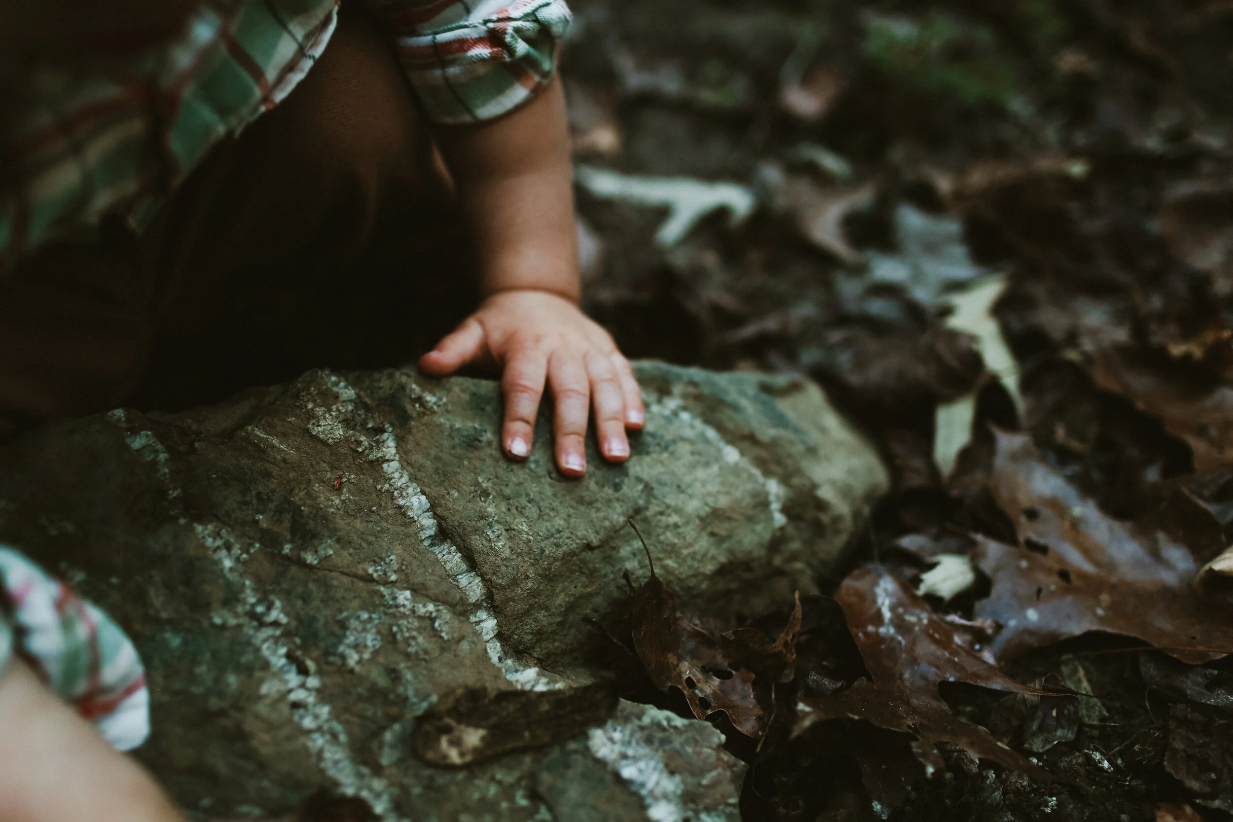 SALTER FAMILY-65.JPG