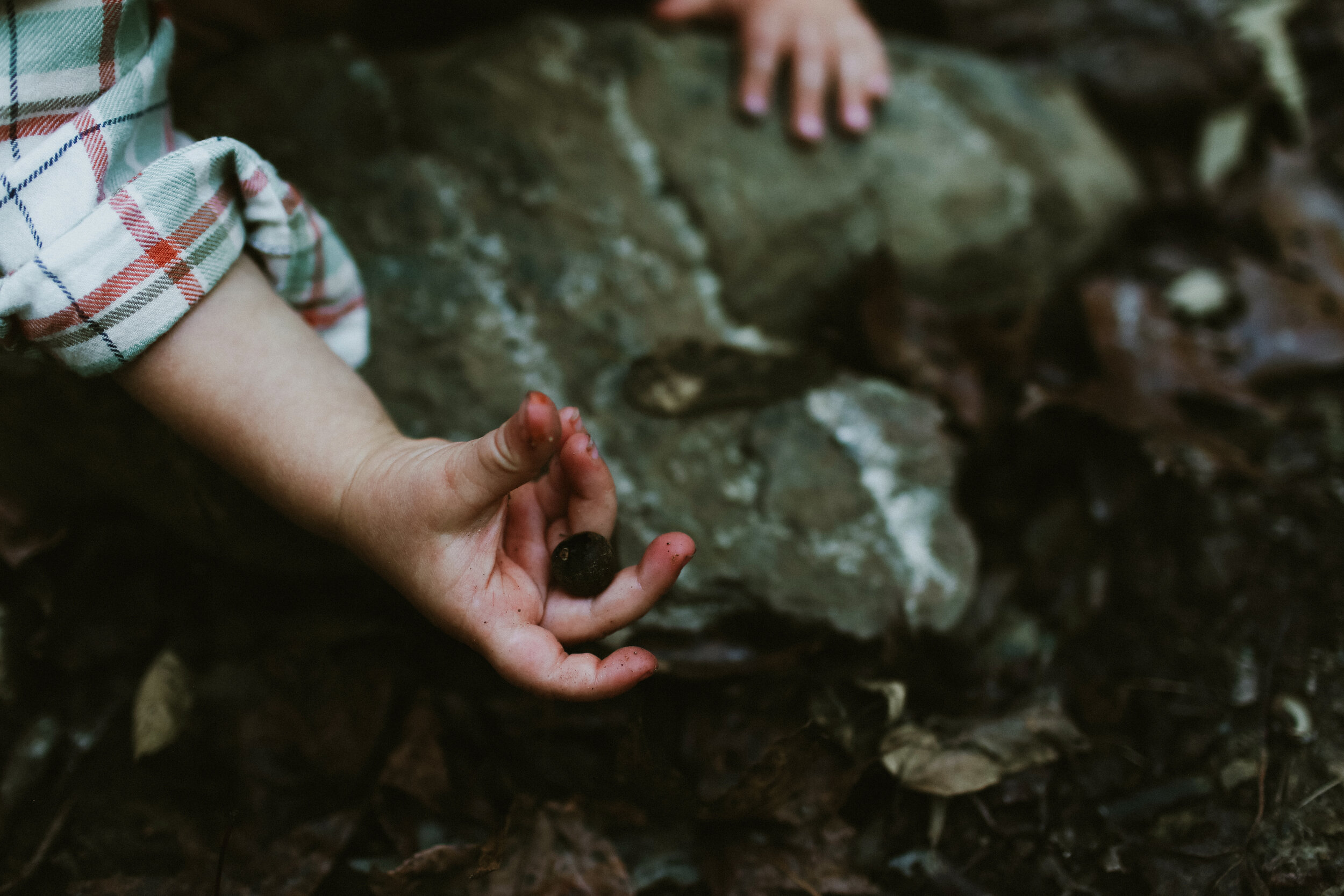 SALTER FAMILY-66.JPG