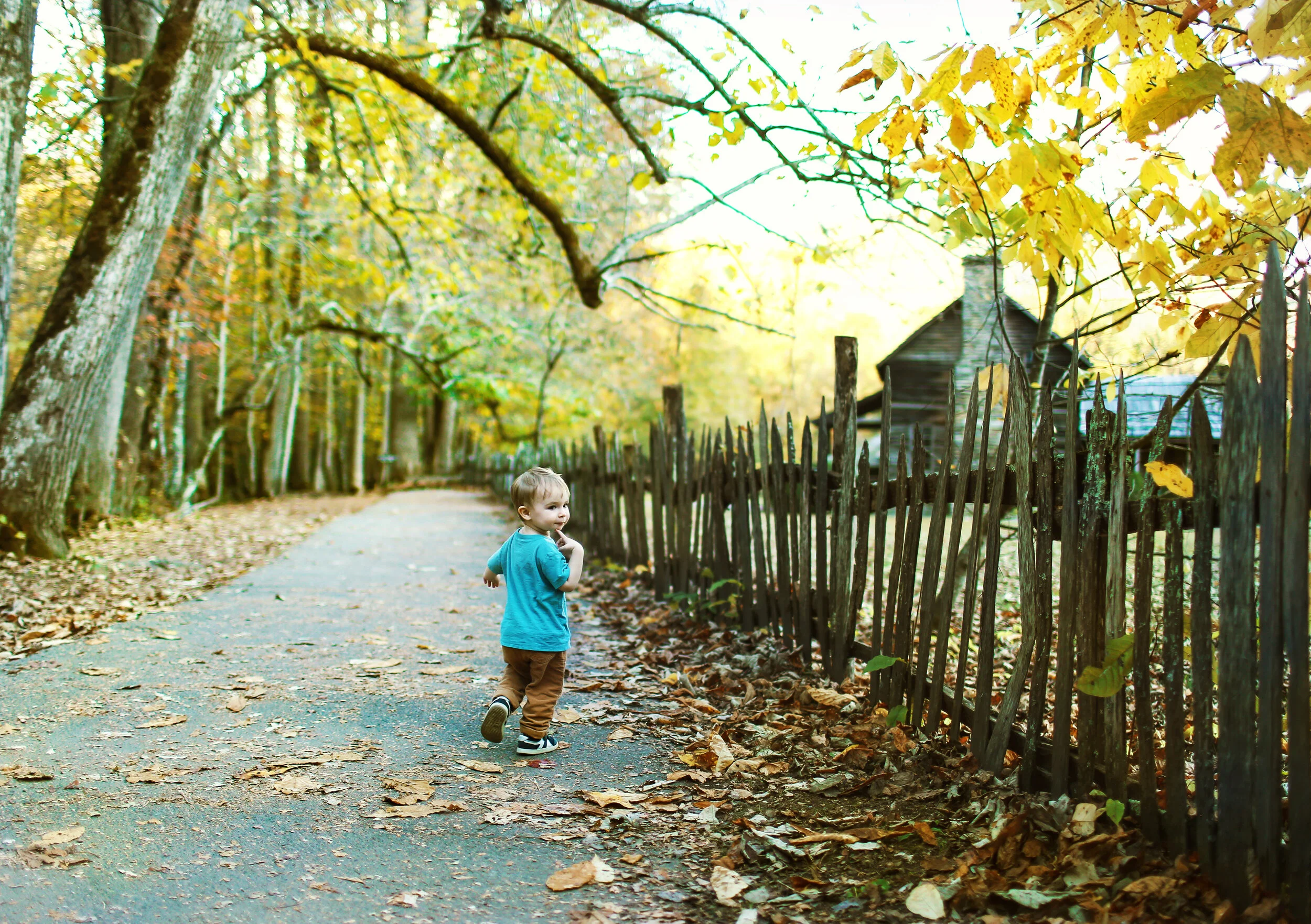 EVERETT'S FALL ADVENTURES