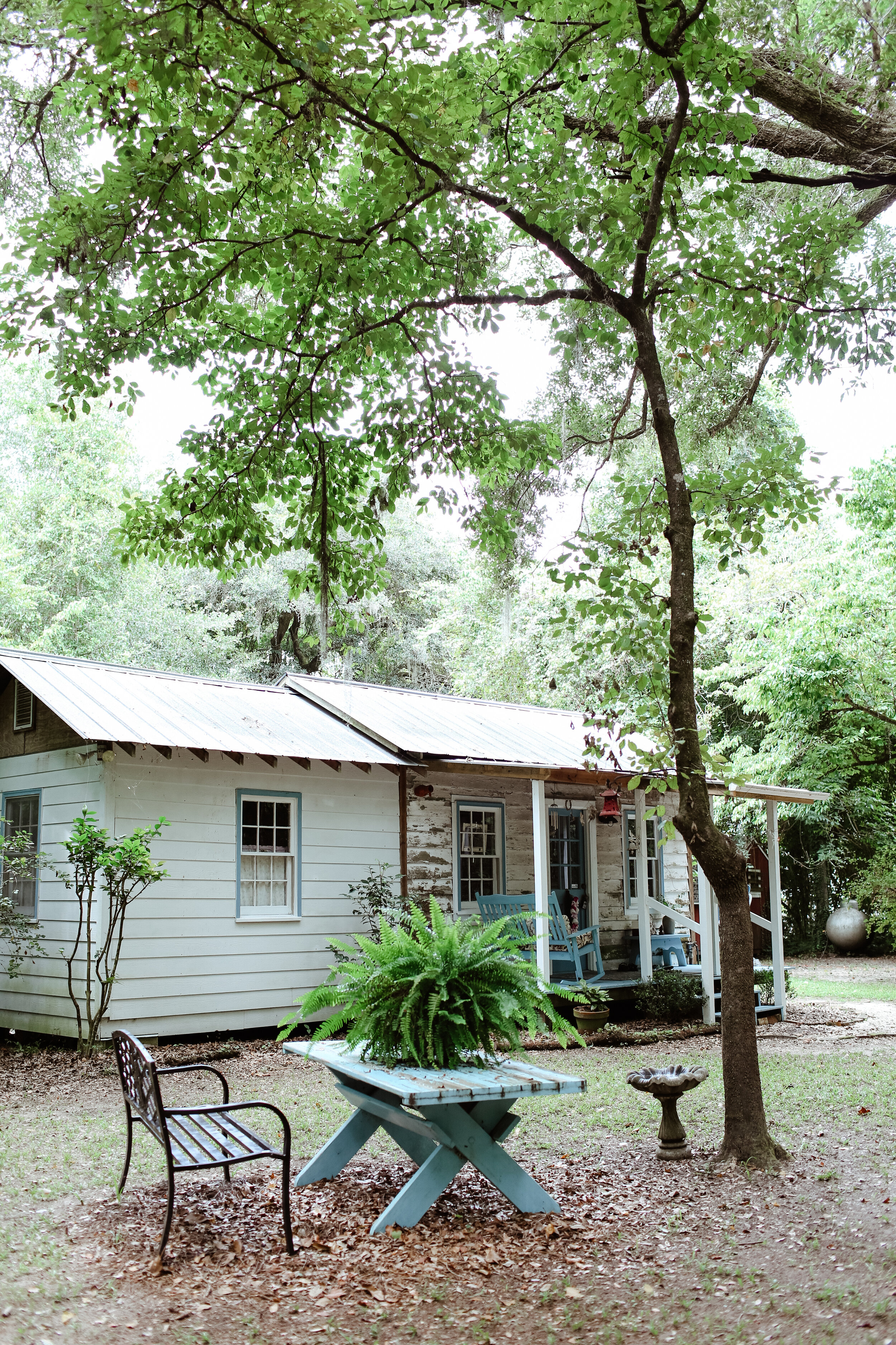 EDISTO AUGUST-58.JPG