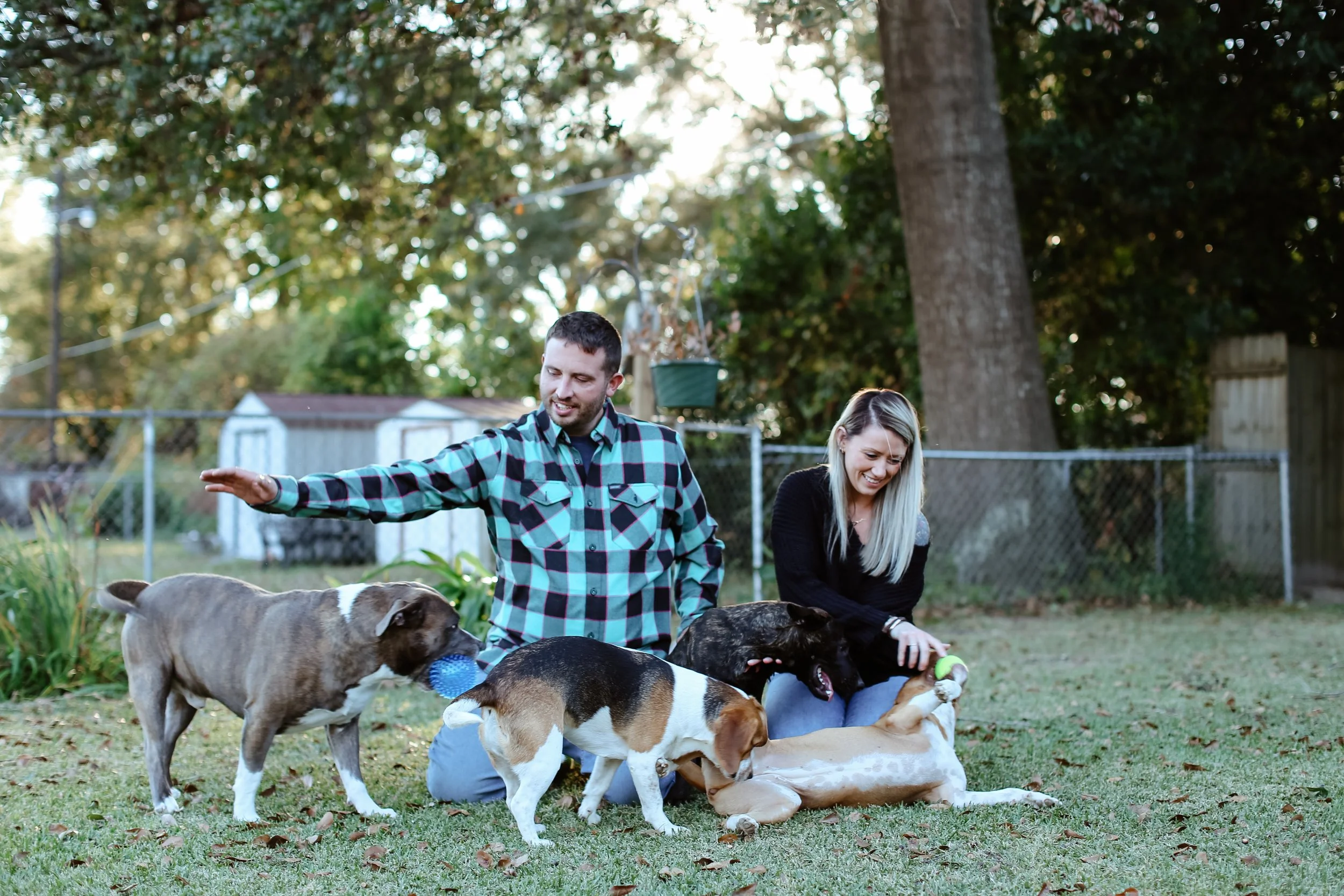 A SESSION WITH FURBABIES