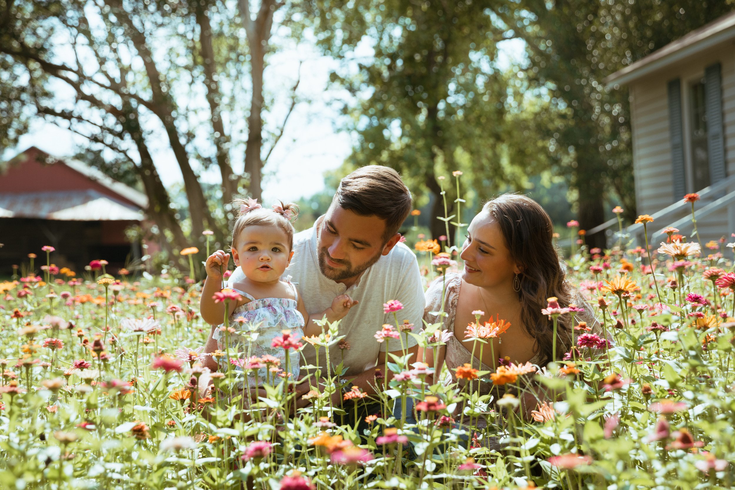 A WILDFLOWER SESSION AT HOLLOW CREEK TREE FARM 
