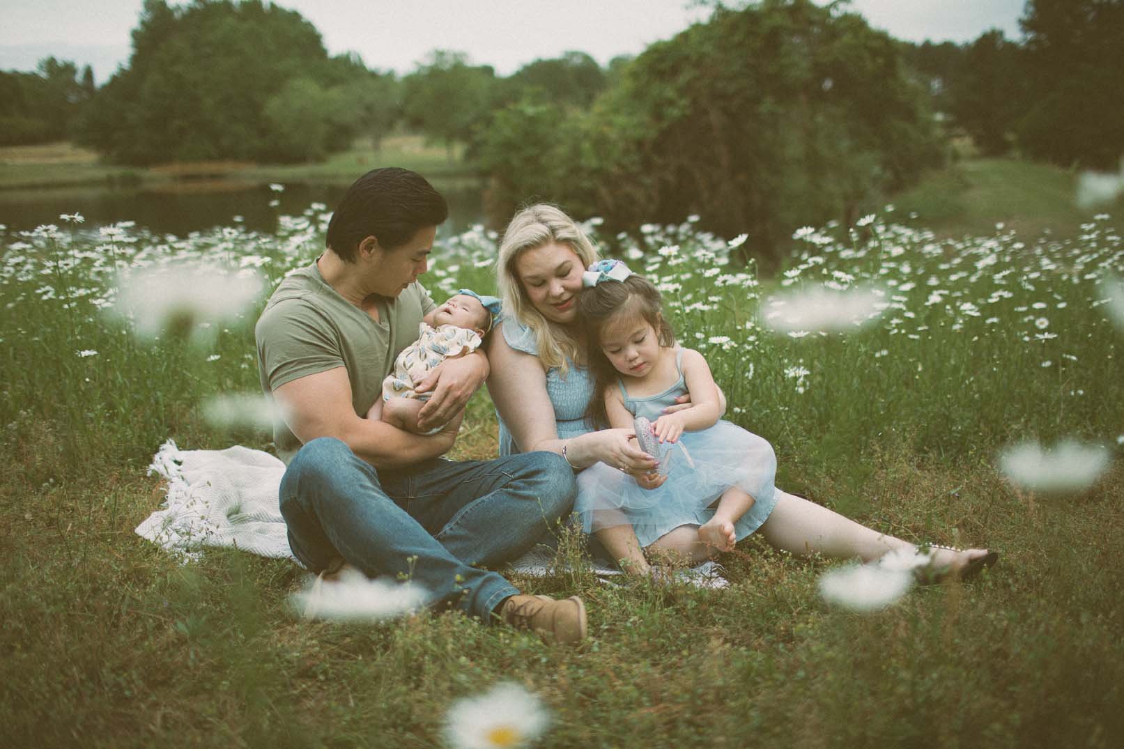 A DAISY FIELD SESSION