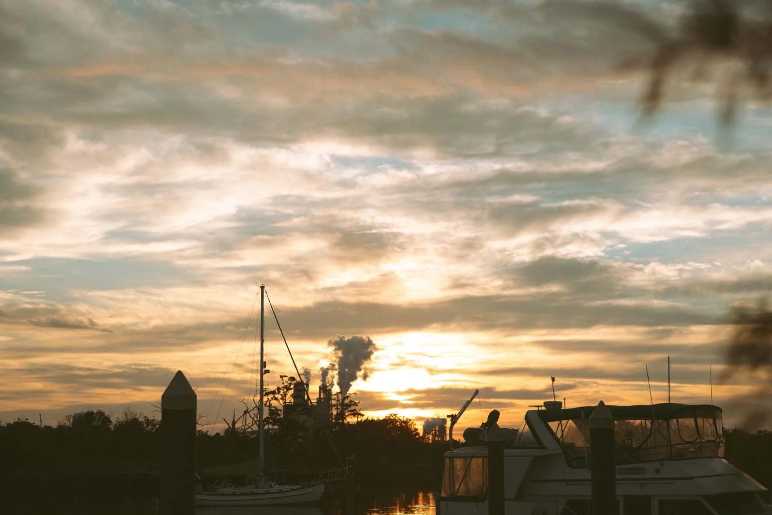 BEALE WEDDING-460.jpg