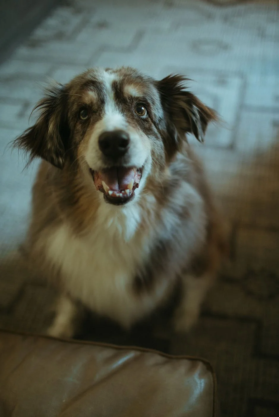 SWEET SAM-107.jpg