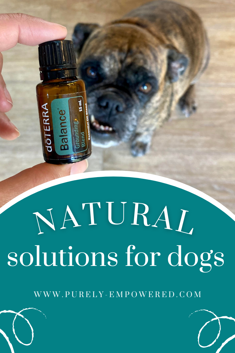 terrashield safe for dogs