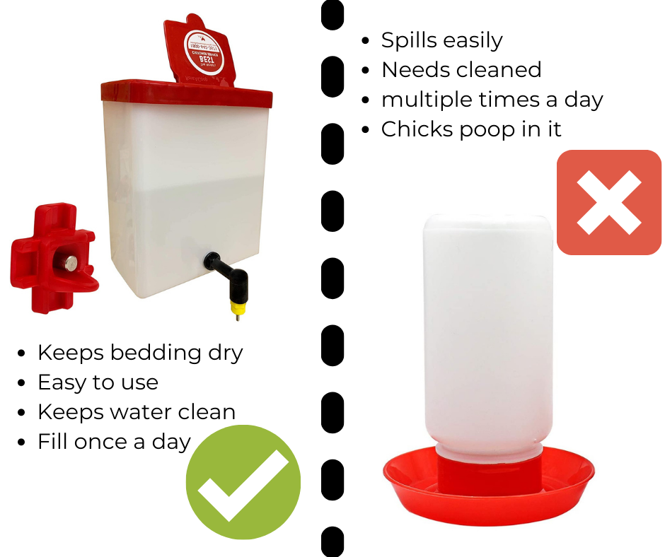 Chick Care — Purely Chickens