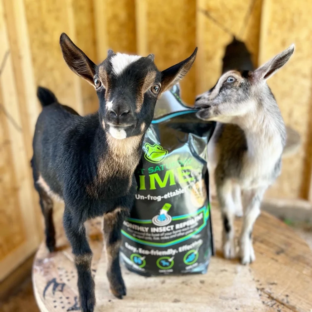 Discount Codes — Purely Chickens