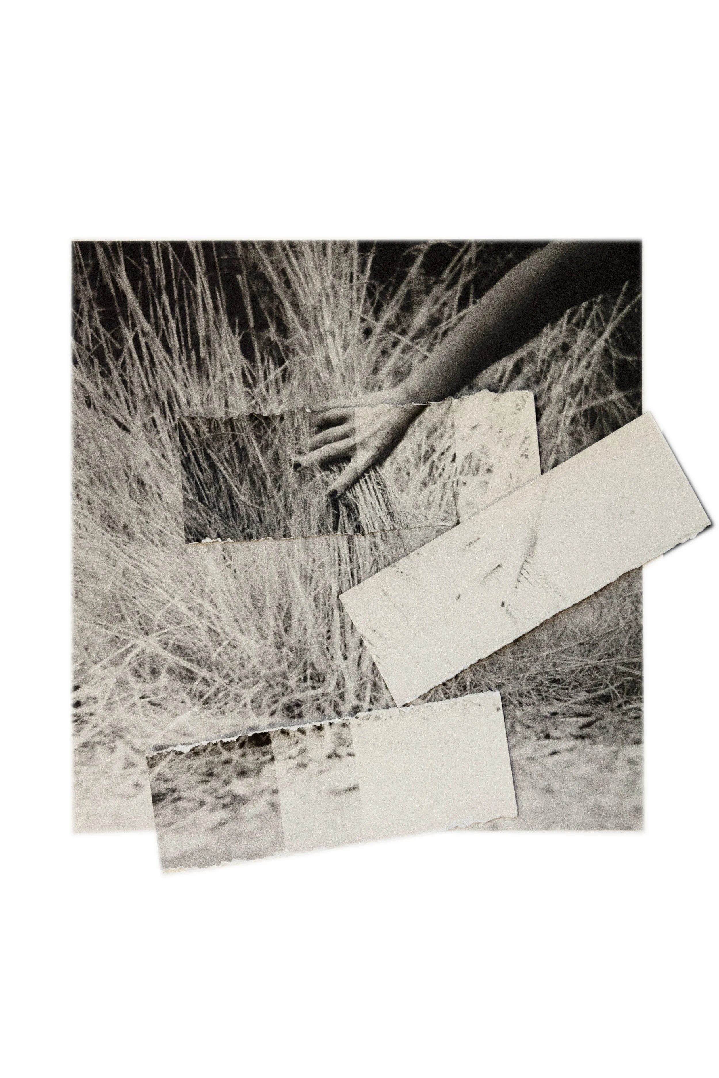 florence_cardent_elements 01_ photo argentique_2016.jpg