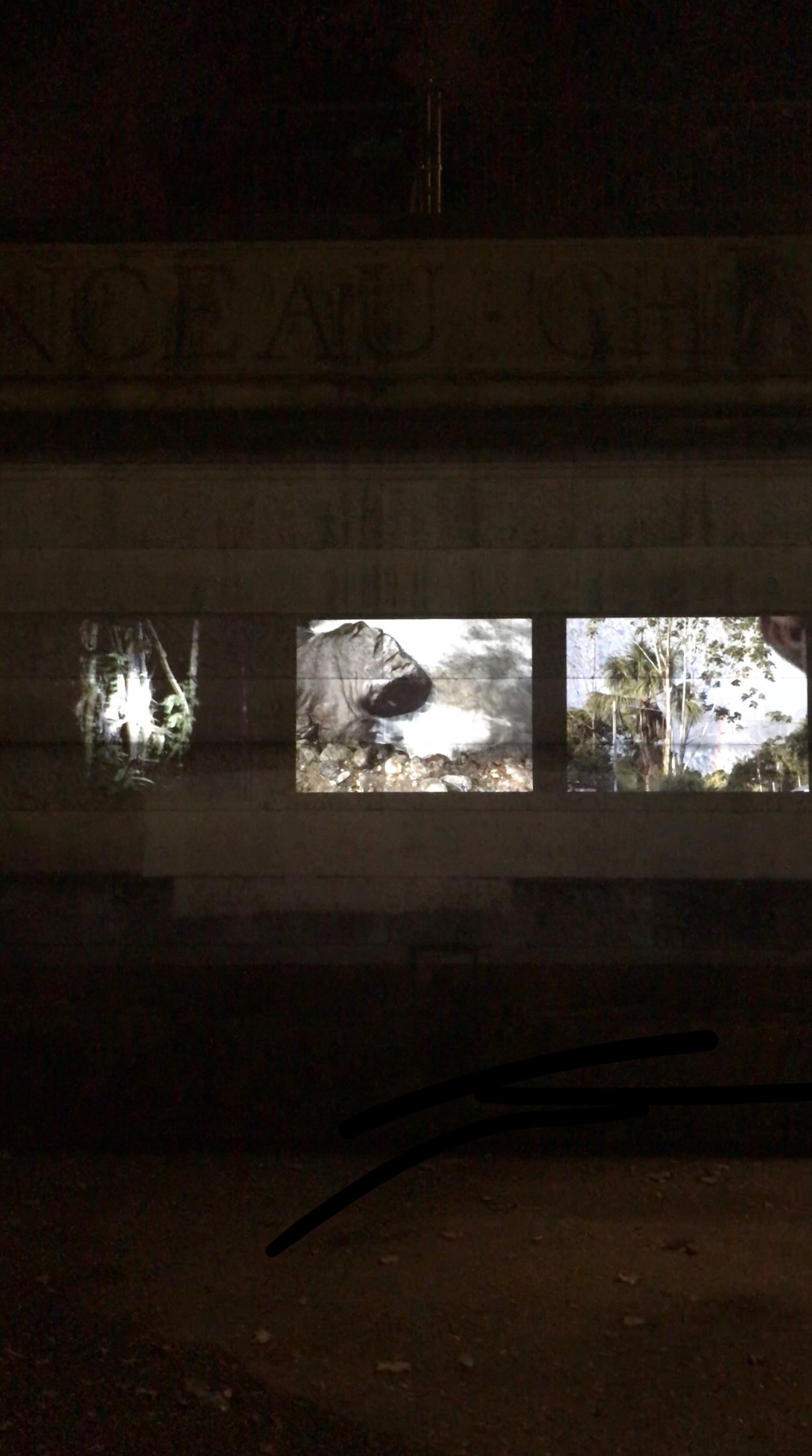 Projection Nuit Blanche 2018016.jpg