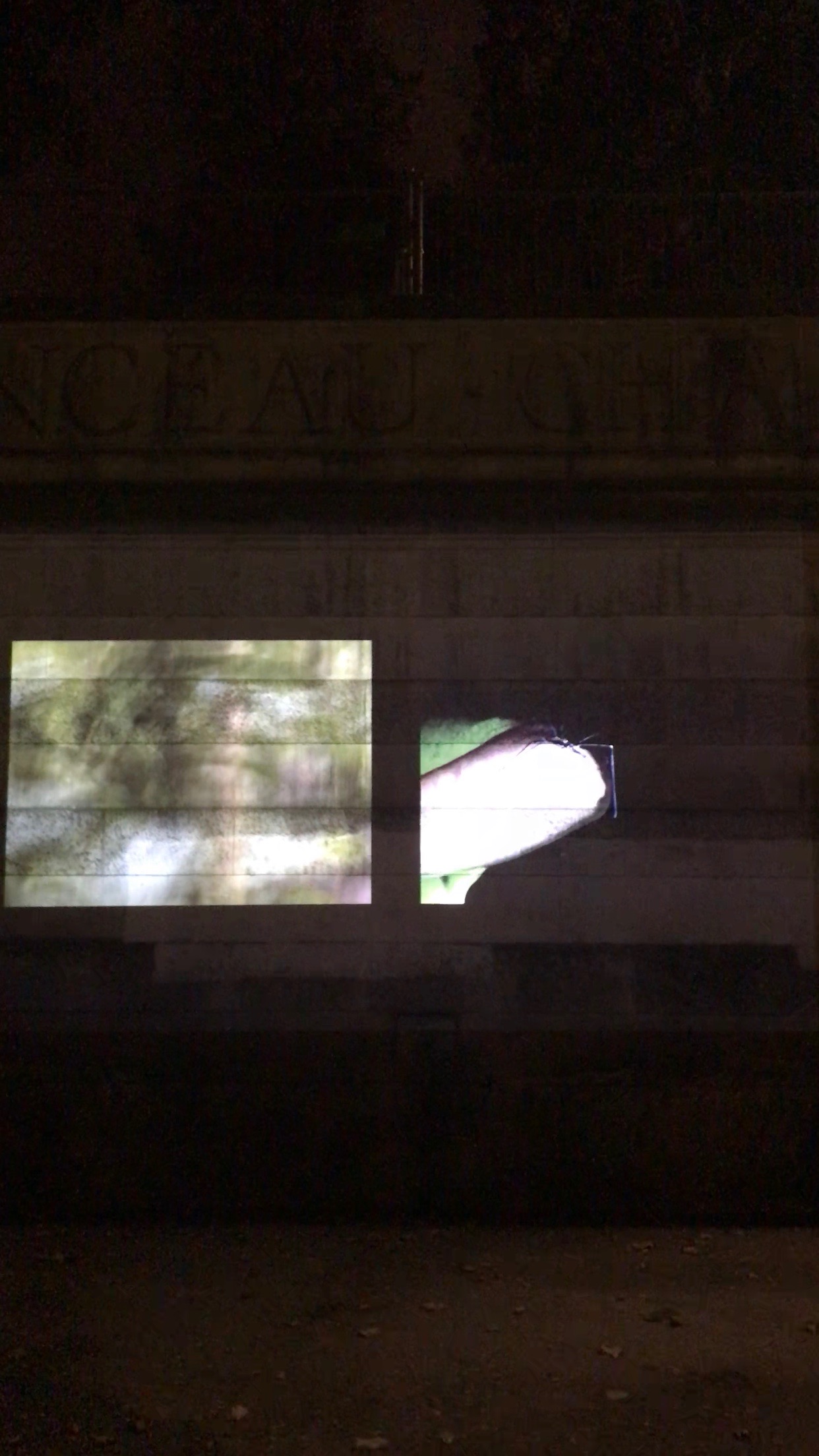 Projection Nuit Blanche 2018012.jpg