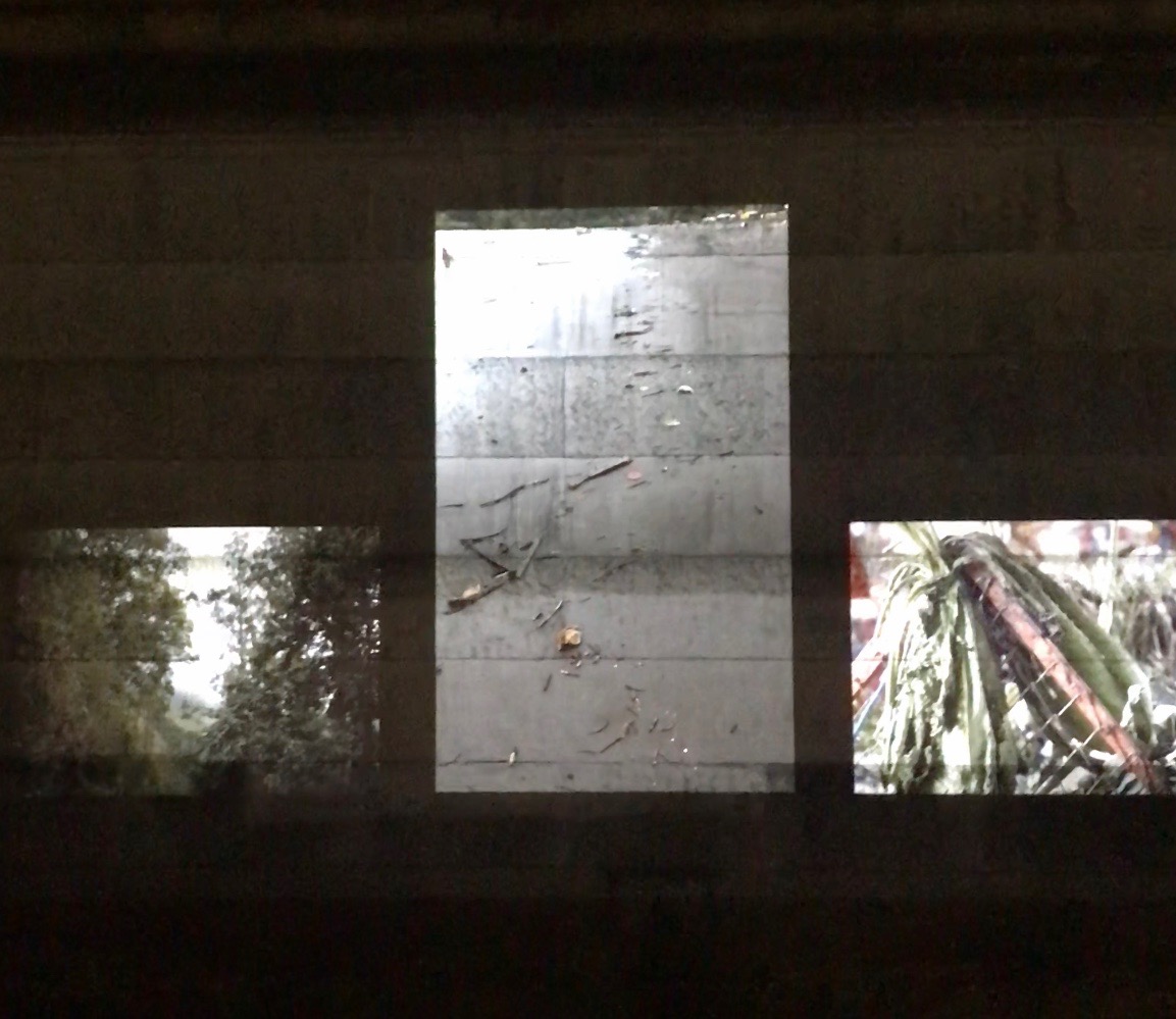 Projection Nuit Blanche 2018008.jpg