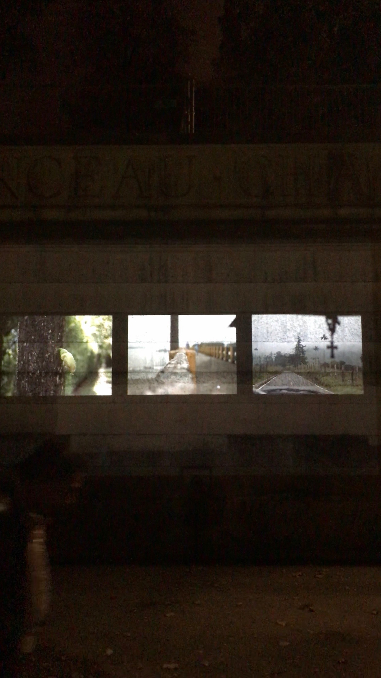 Projection Nuit Blanche 2018009.jpg